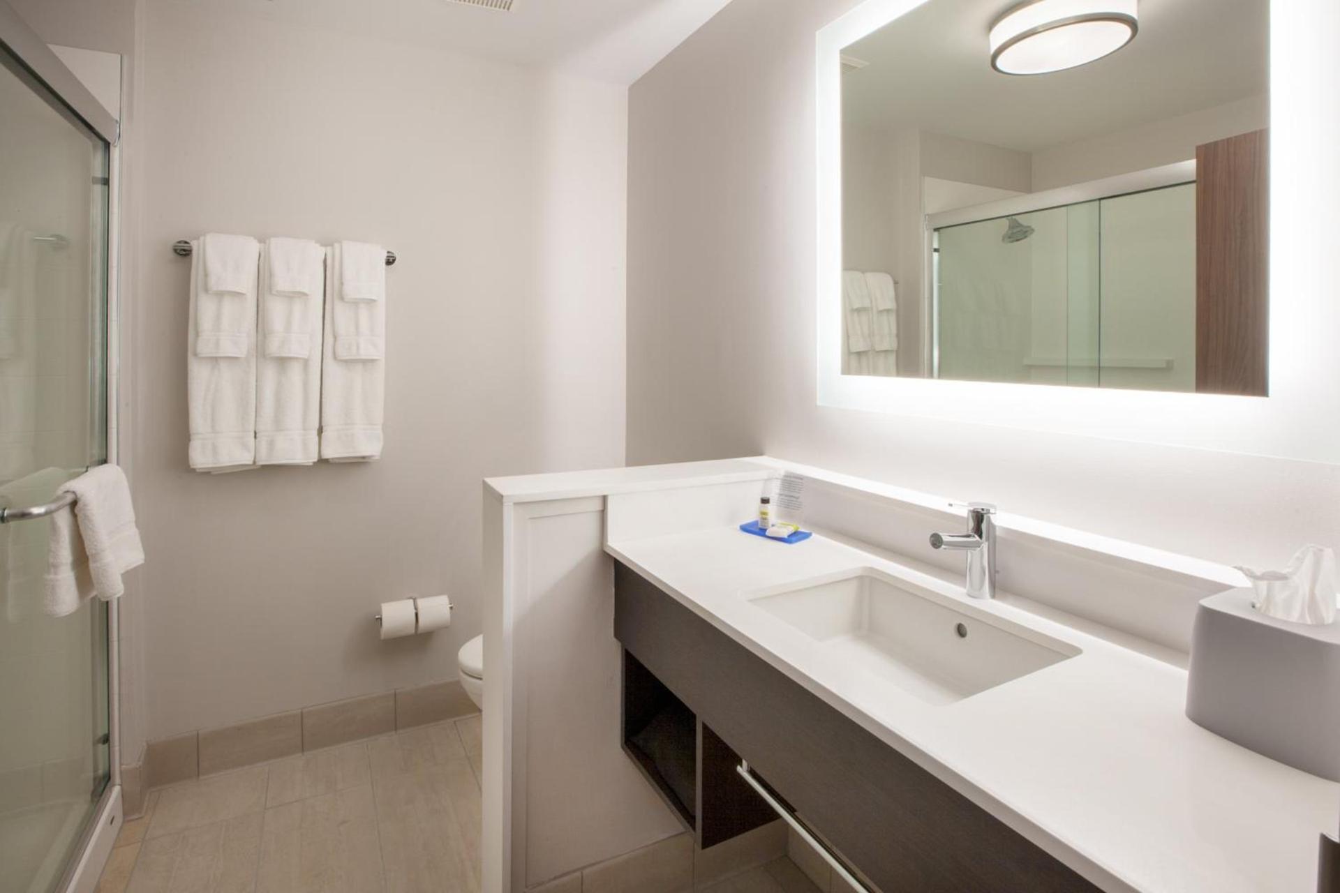 Holiday Inn Express & Suites - Houston - Downtown North by IHG photo 3