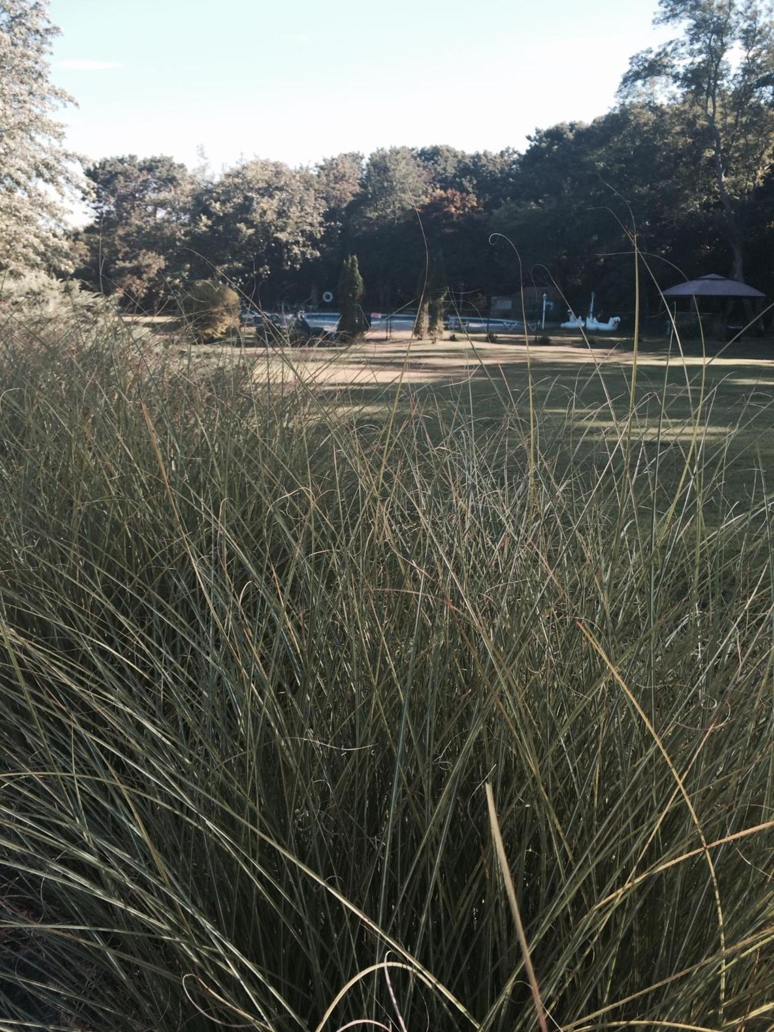 Hamlet Inn - PASSES TO COOPERS BEACH photo 10