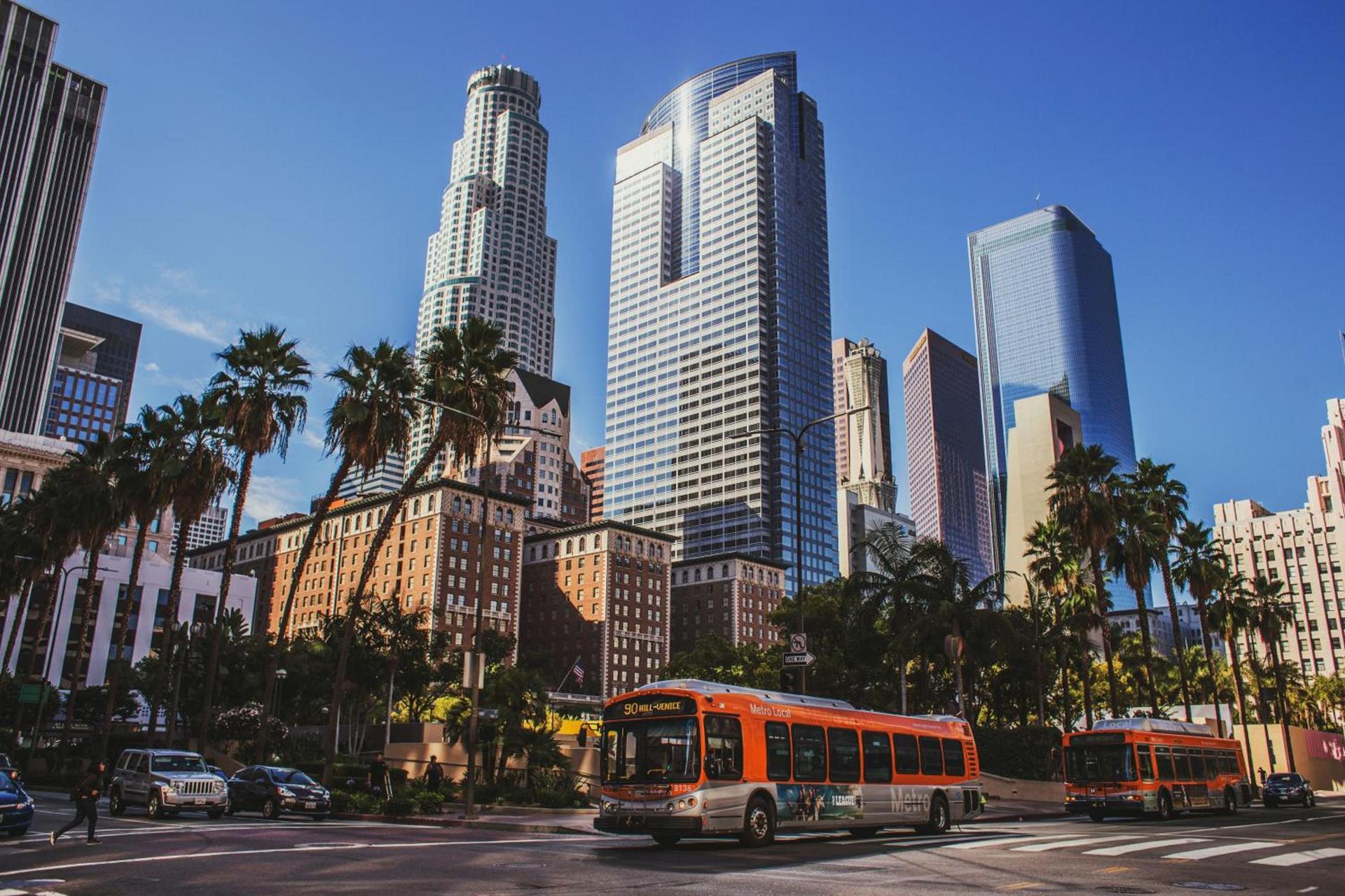 Pineapple Hostel photo 2