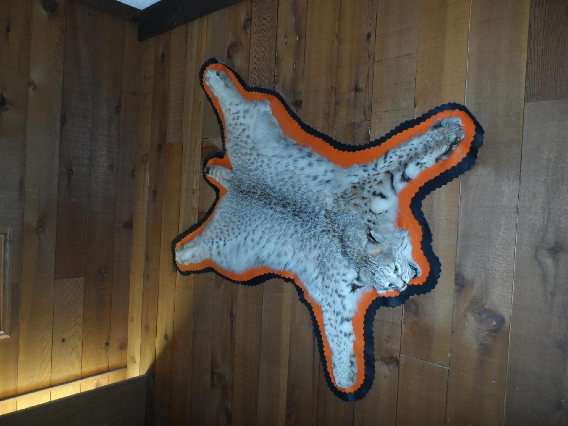 Bear Lodge Motel photo 32