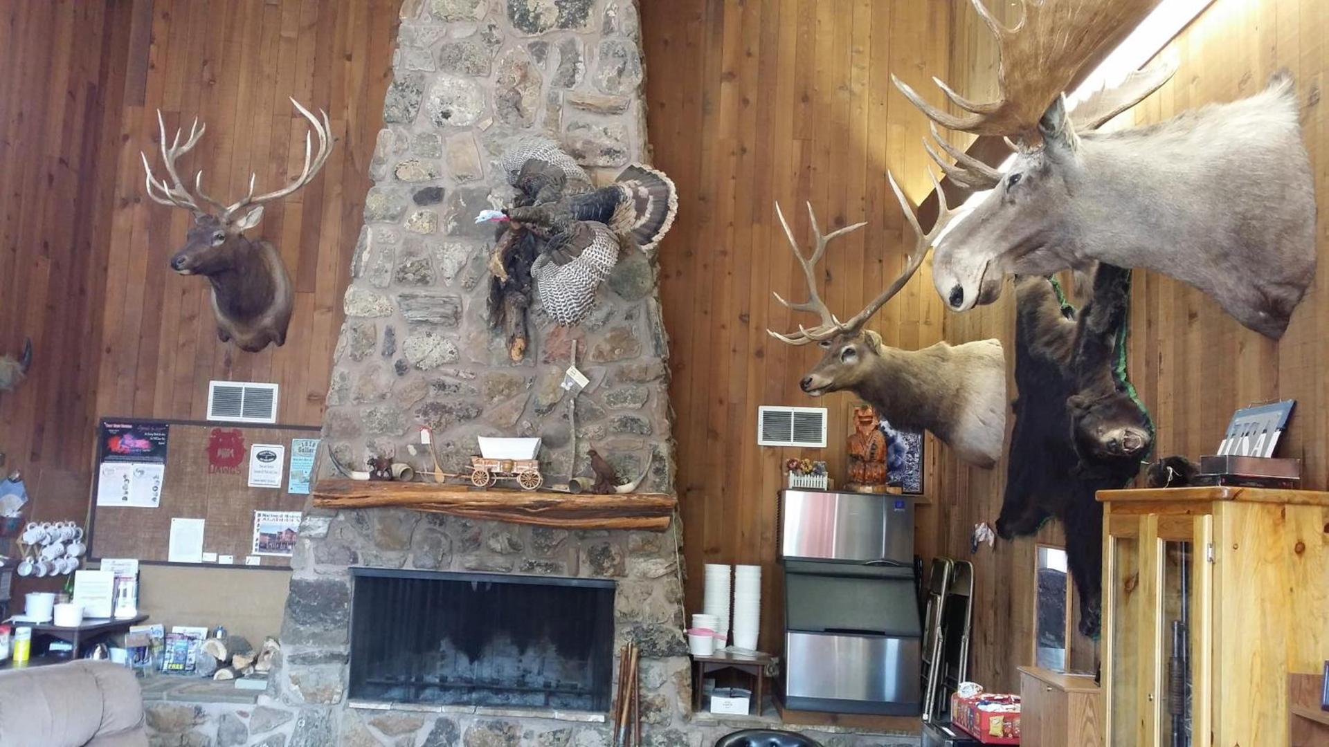 Bear Lodge Motel photo 30