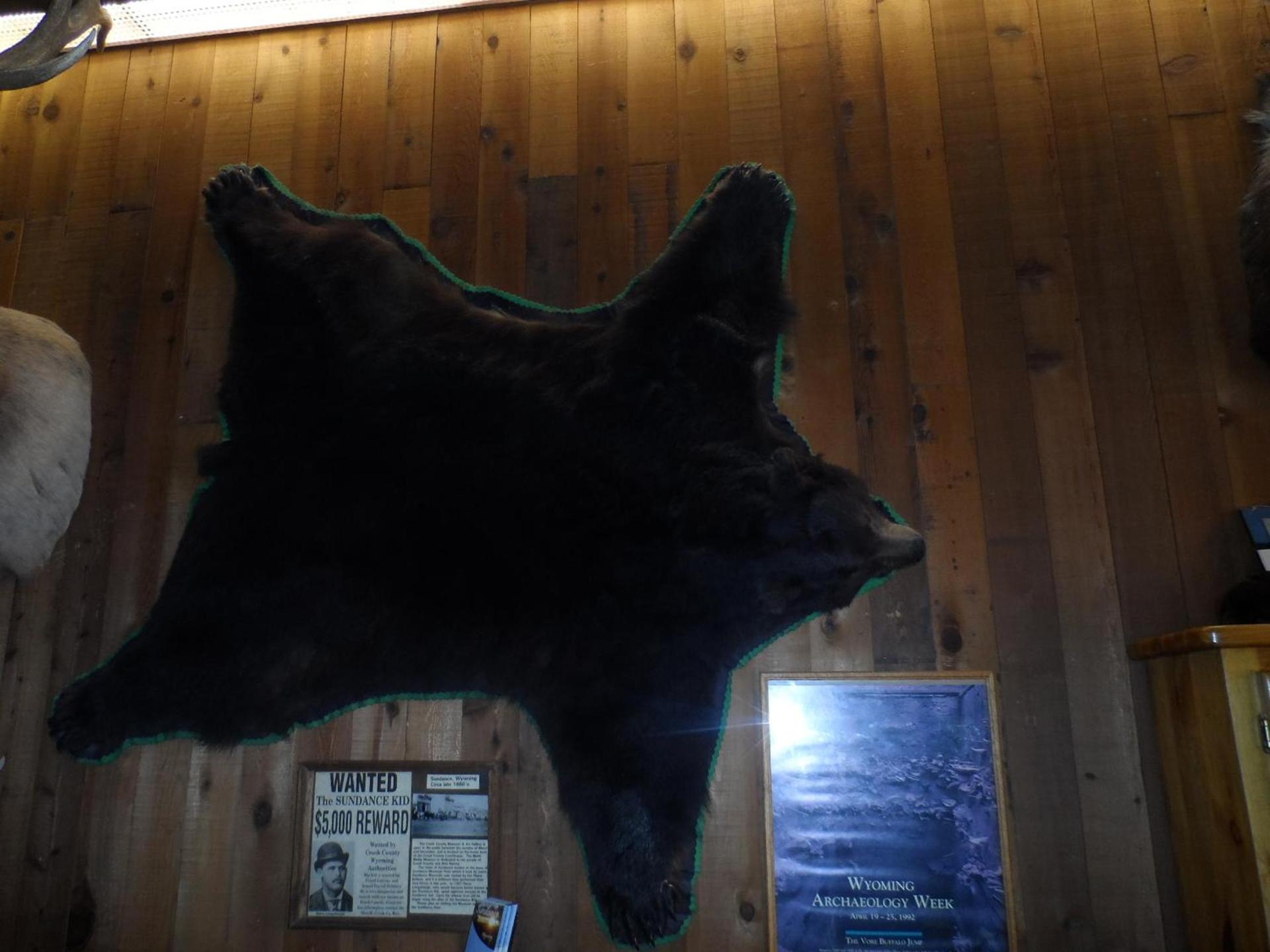 Bear Lodge Motel photo 36