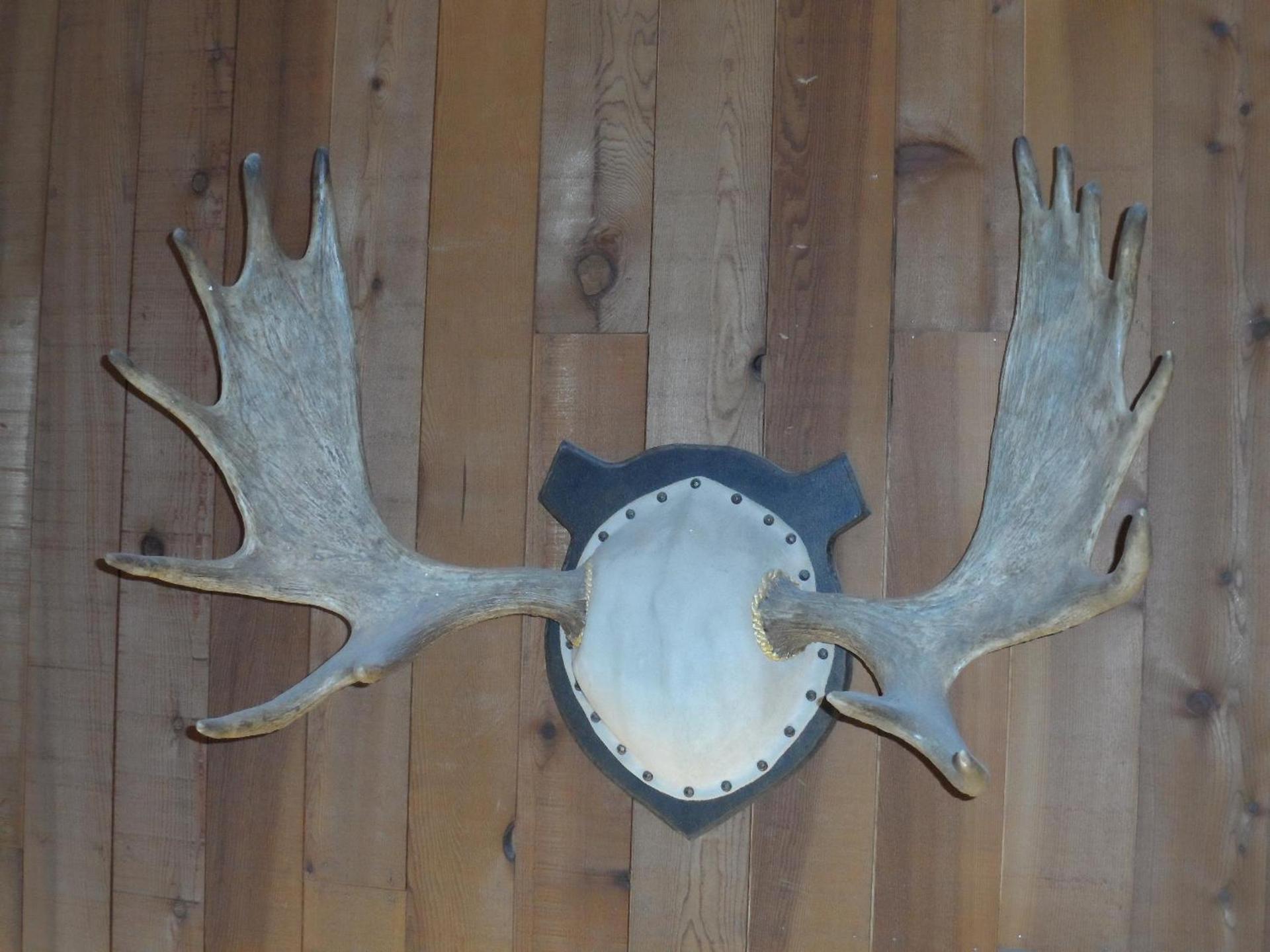 Bear Lodge Motel photo 37