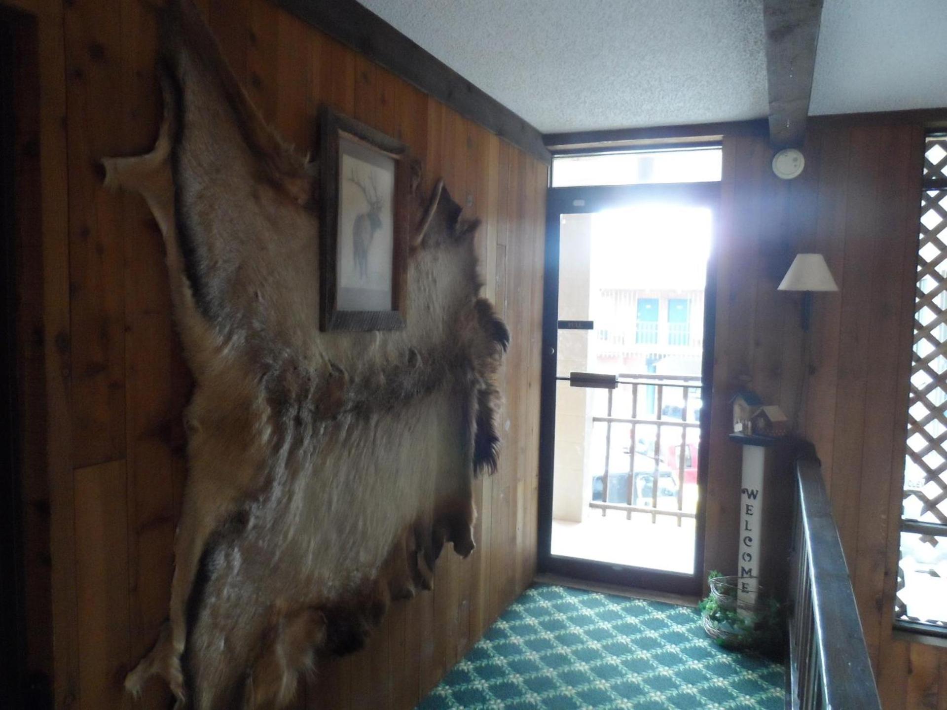 Bear Lodge Motel photo 40