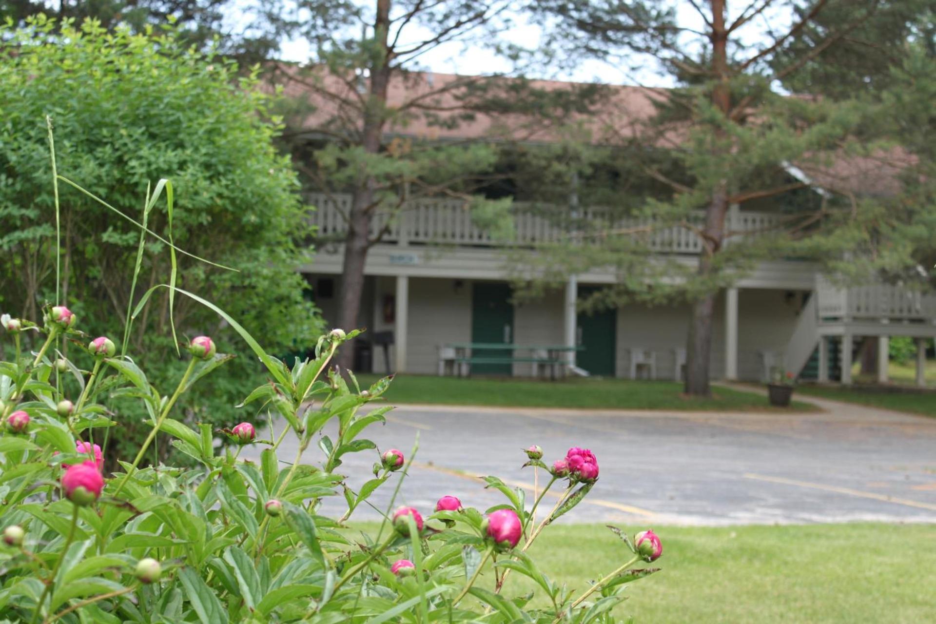 Parkwood Lodge photo 18