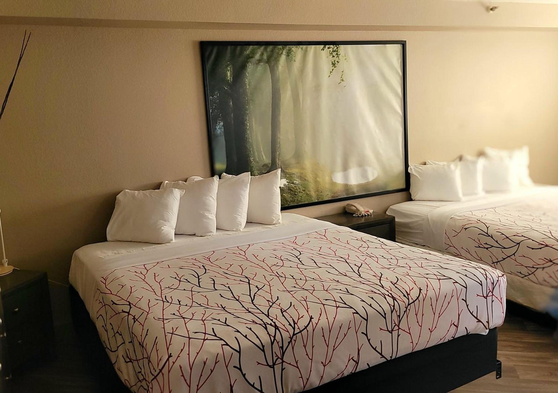 Rancho San Diego Inn & Suites photo 25