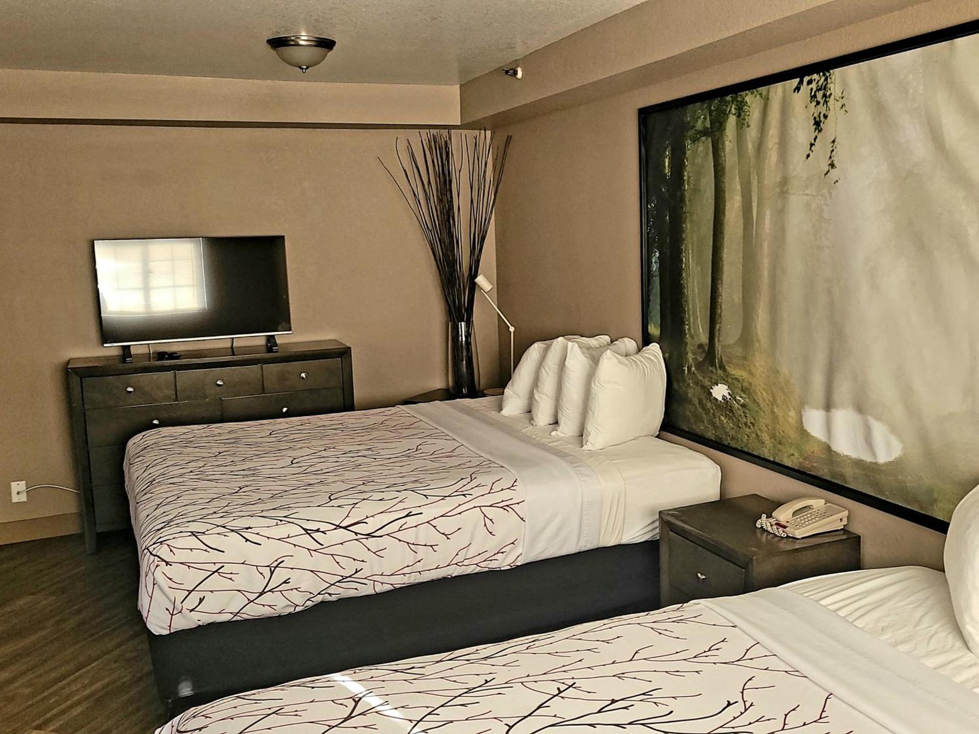 Rancho San Diego Inn & Suites photo 22