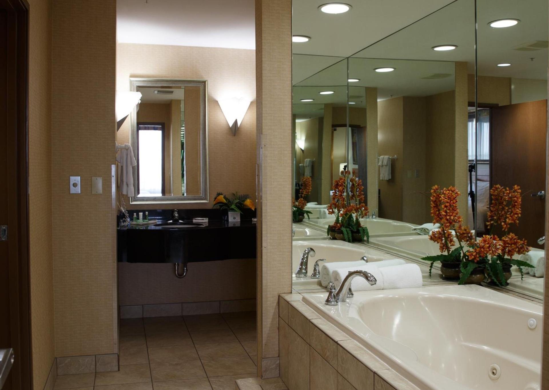 Holiday Inn Battle Creek by IHG photo 25