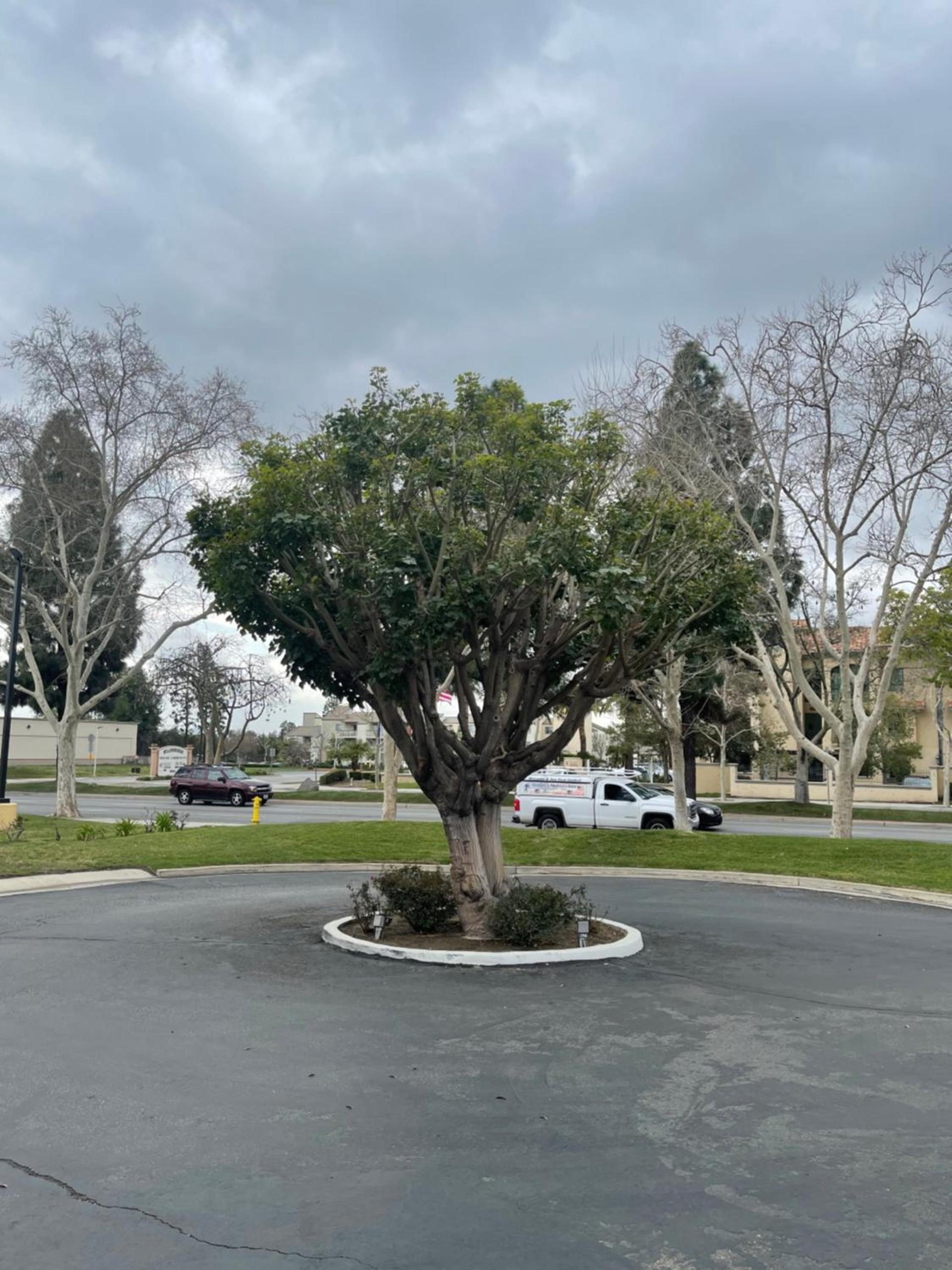 Chino Motel photo 31