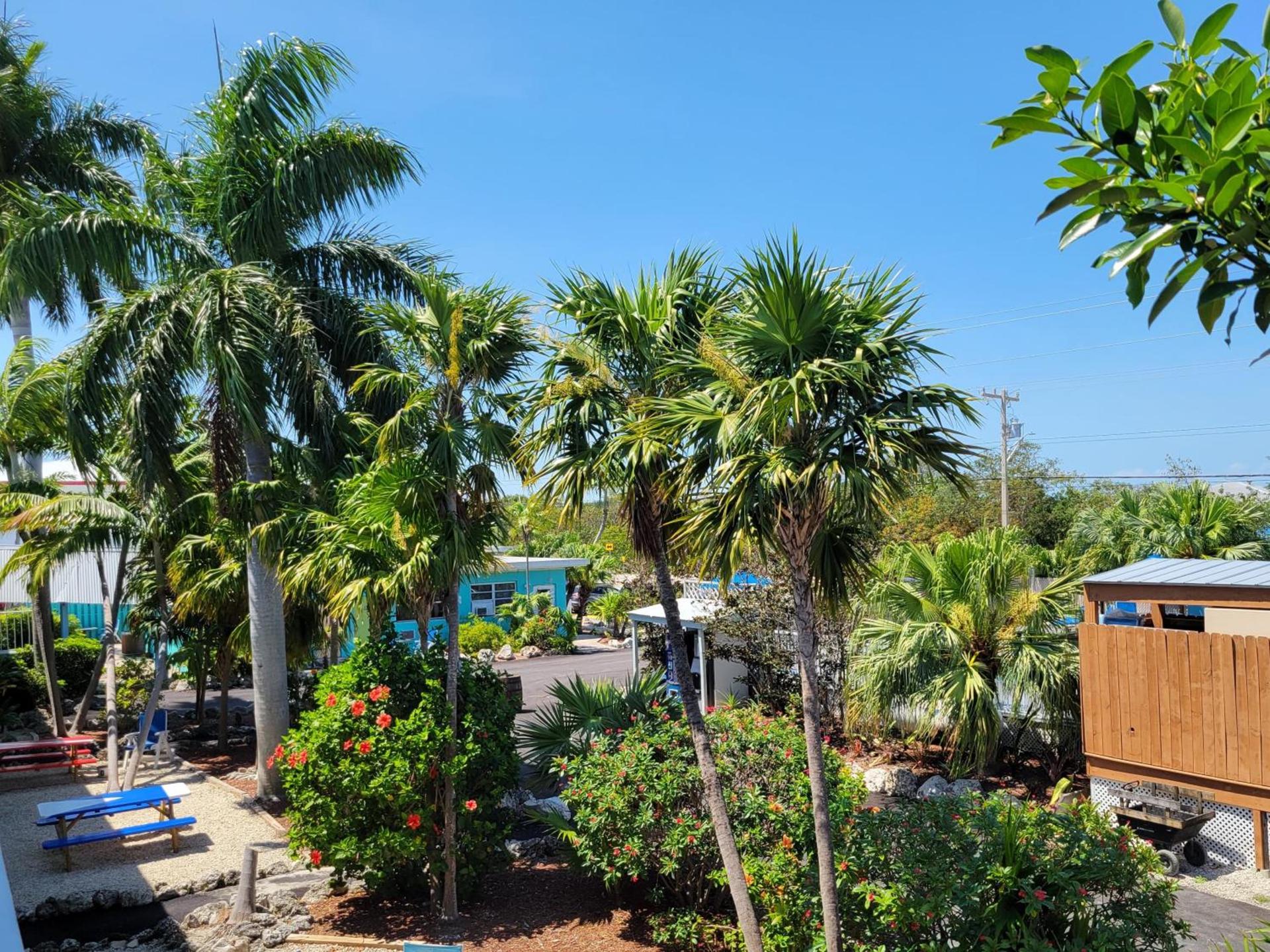 Looe Key Reef Resort and Dive Center photo 14