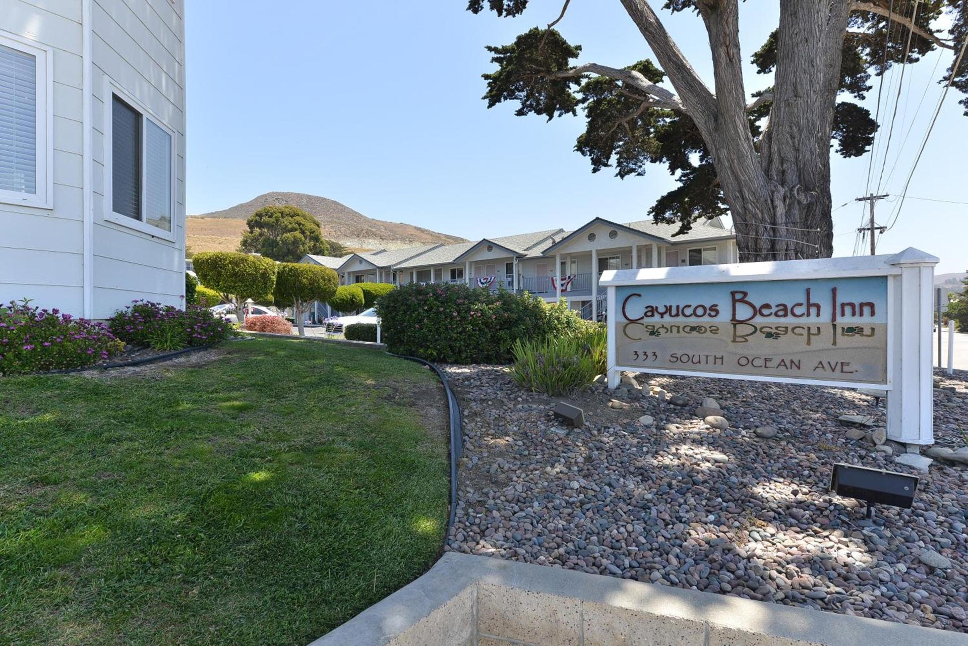 Cayucos Beach Inn photo 10