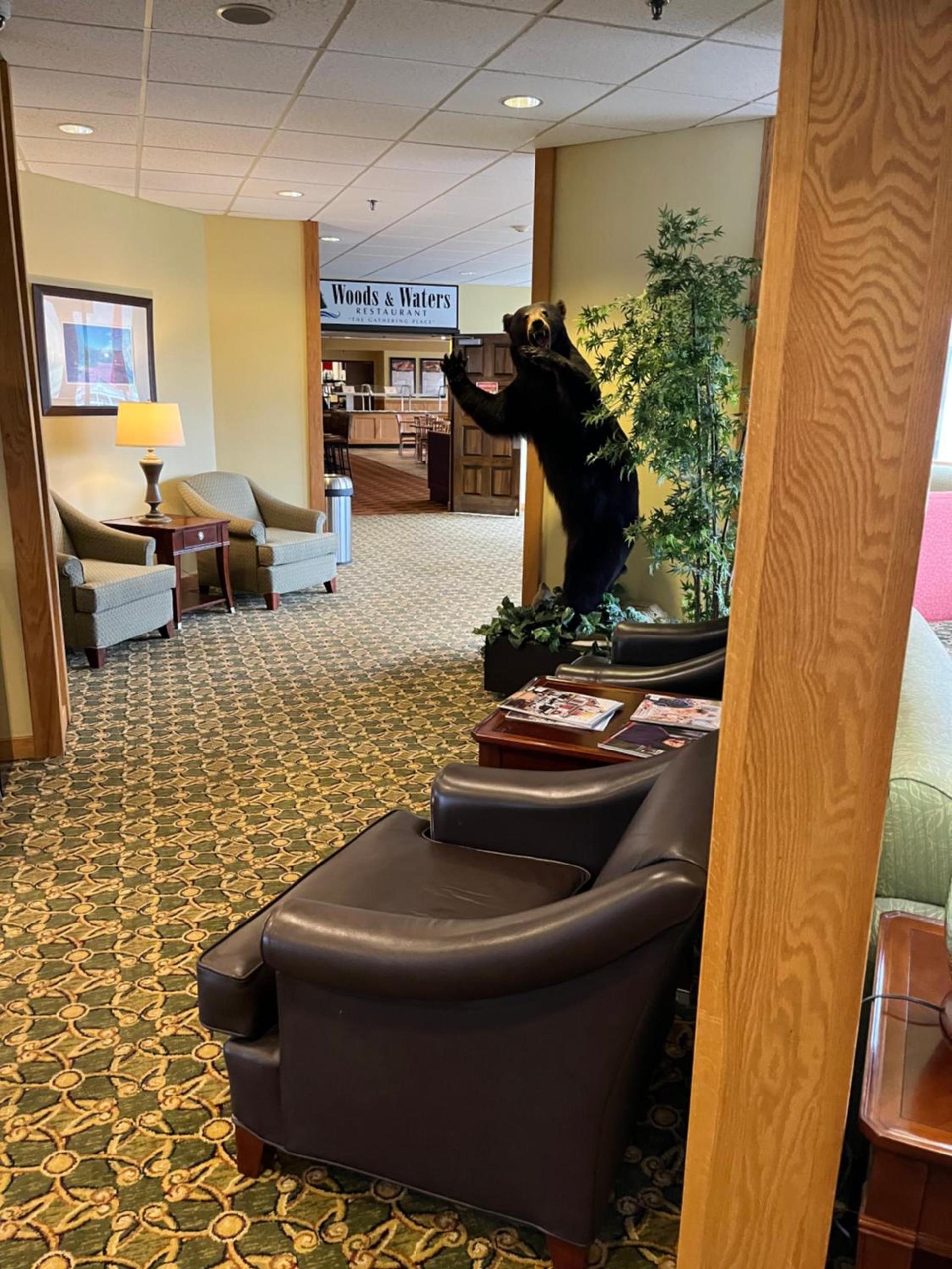 Days Inn & Suites by Wyndham Sutton Flatwoods photo 6