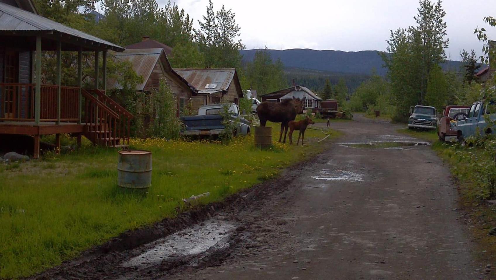 Blackburn Cabins - McCarthy, Alaska photo 24