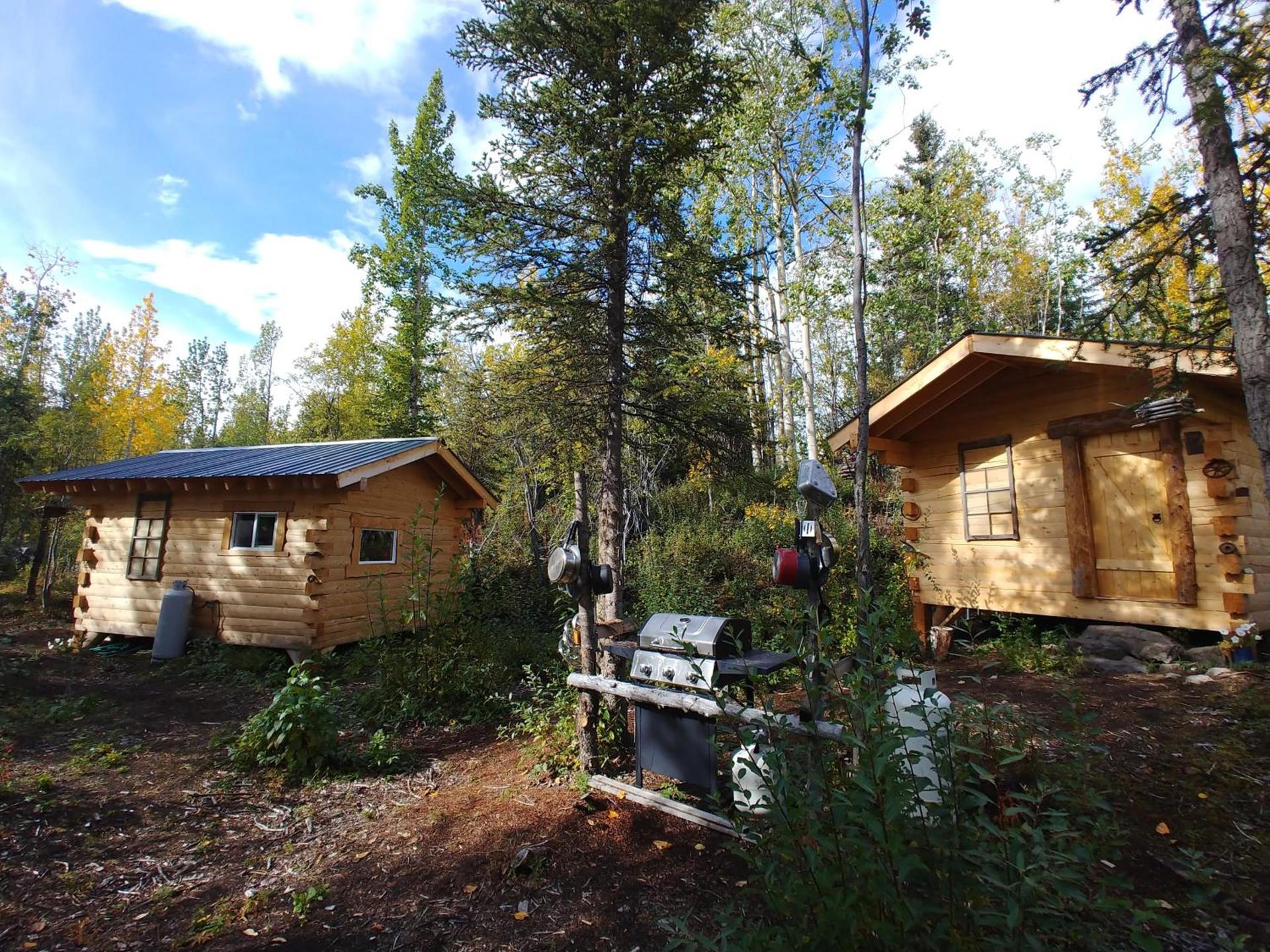 Blackburn Cabins - McCarthy, Alaska photo 30