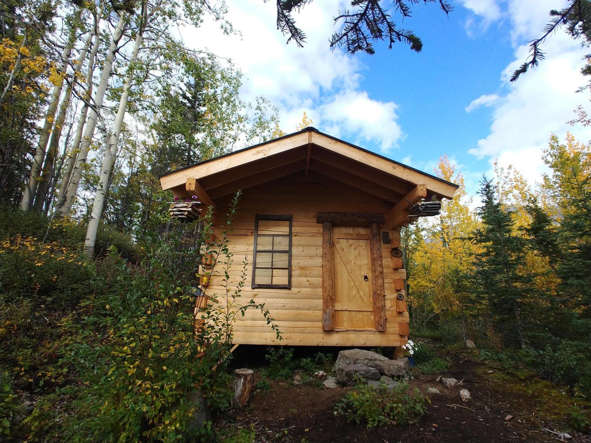 Blackburn Cabins - McCarthy, Alaska photo 29