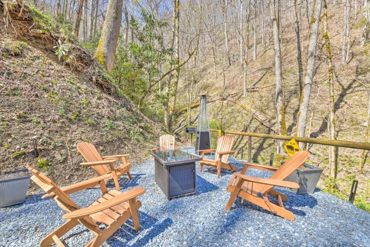 The Lodge Nantahala River photo 5