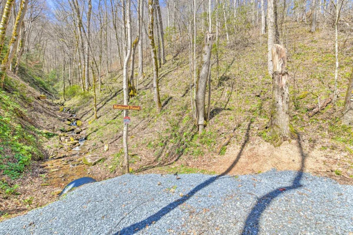 The Lodge Nantahala River photo 77