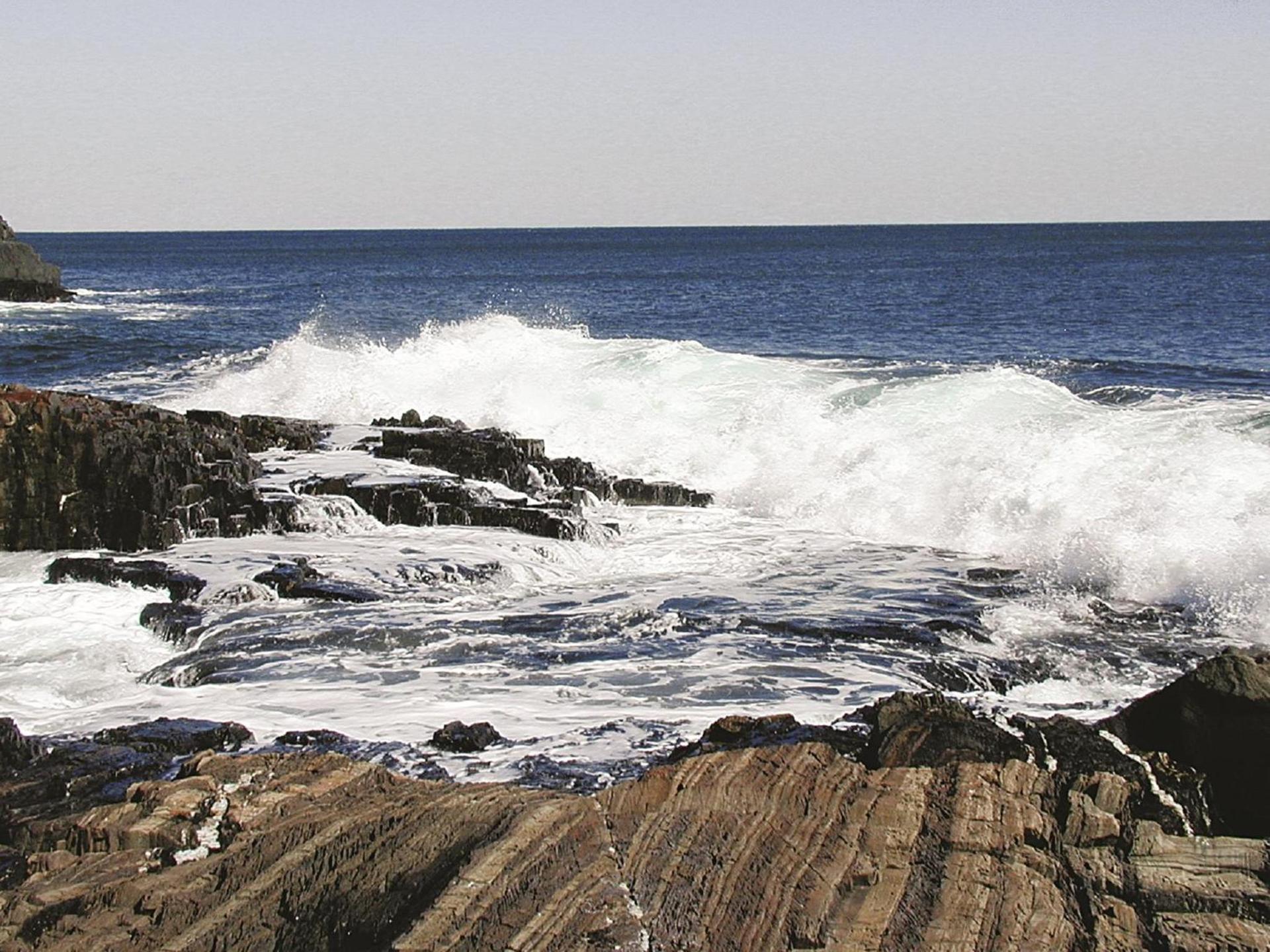 Cliff House Maine photo 16