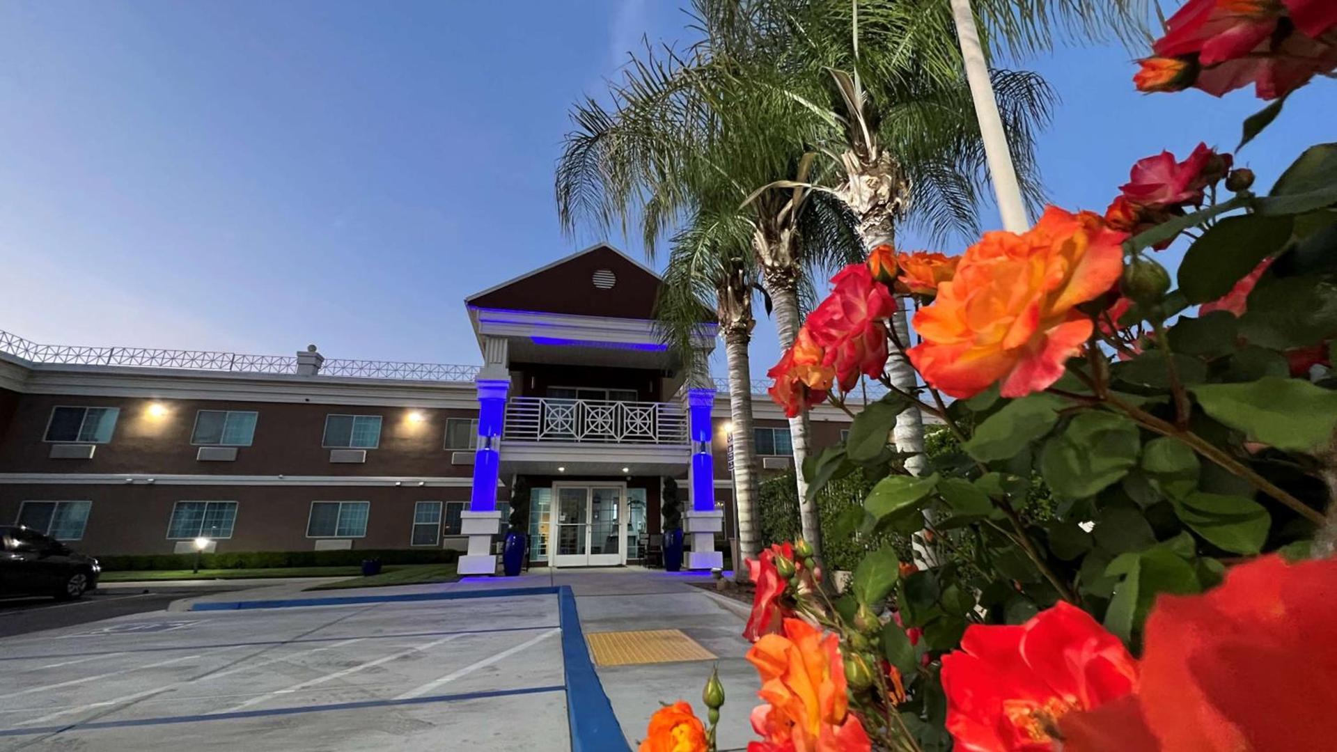 Best Western Americana photo 27
