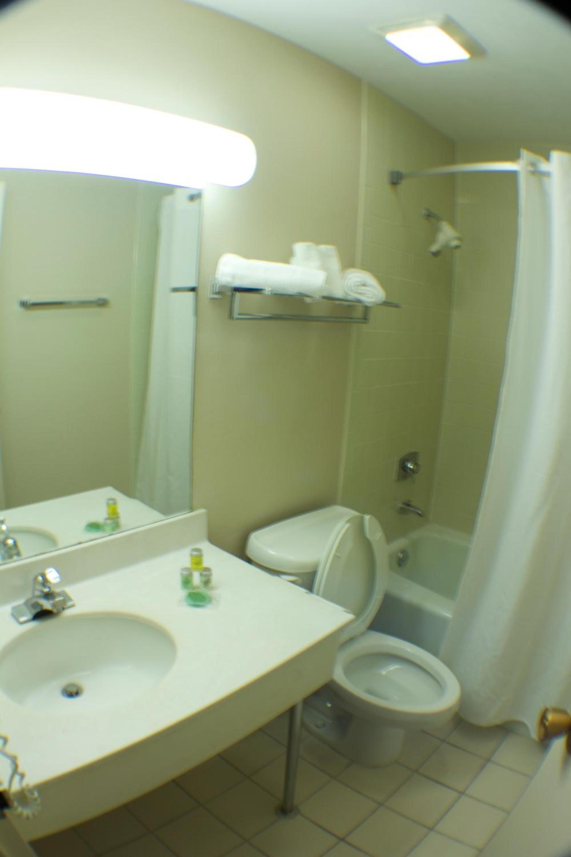 The Garden Inn photo 17