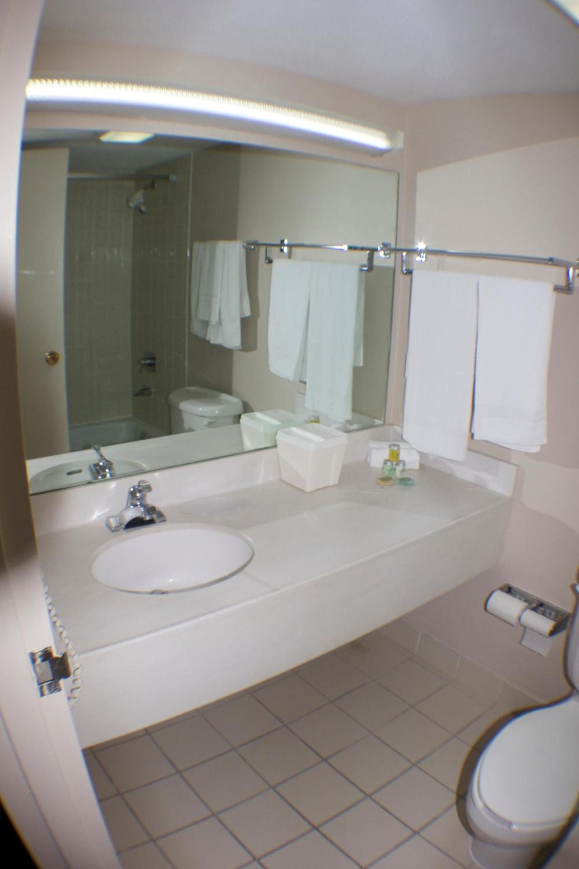 The Garden Inn photo 14