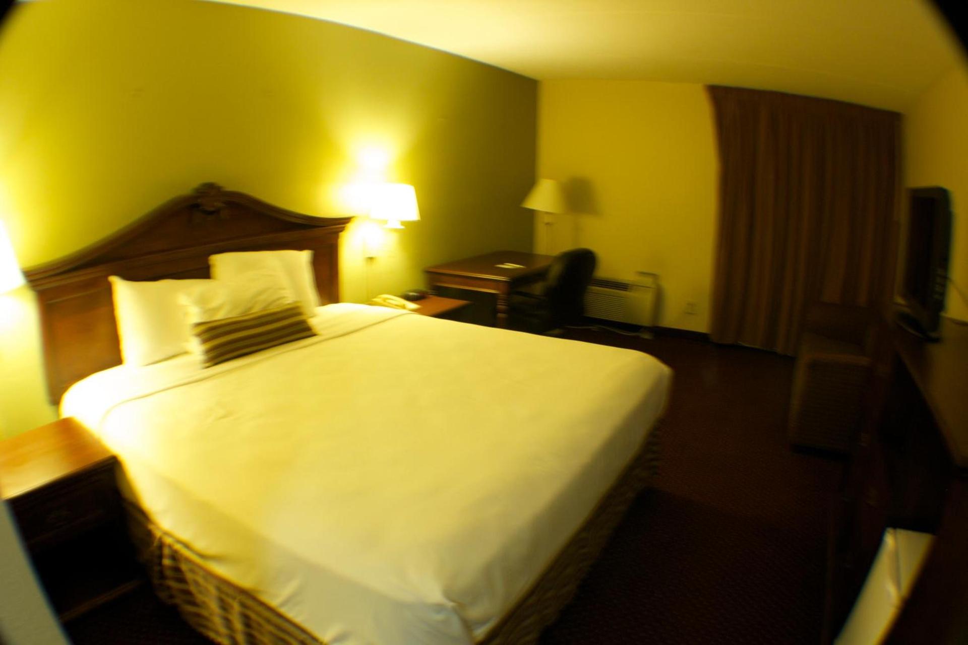 The Garden Inn photo 13