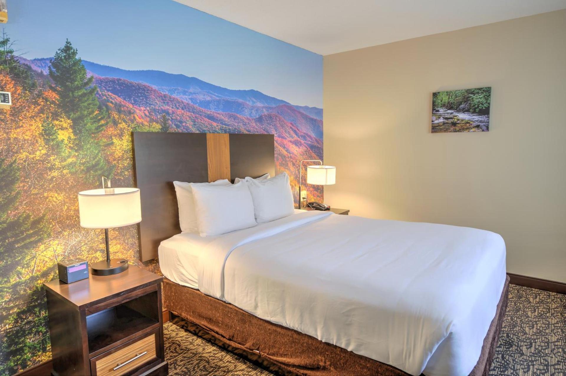 LeConte Hotel & Convention Center, an Ascend Collection Hotel photo 49