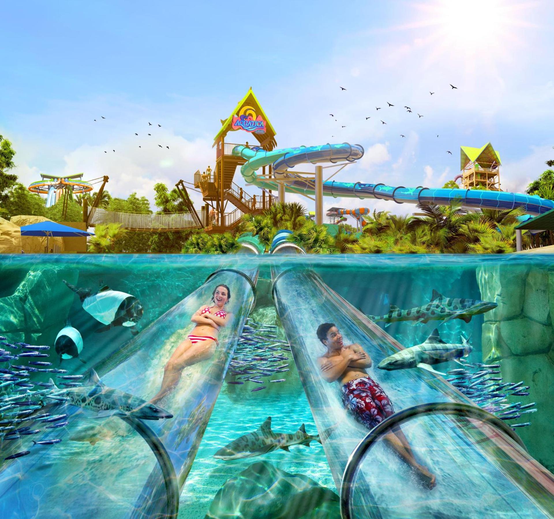 Staybridge Suites Orlando at SeaWorld by IHG - Free Breakfast & Shuttle to SeaWorld Parks photo 52