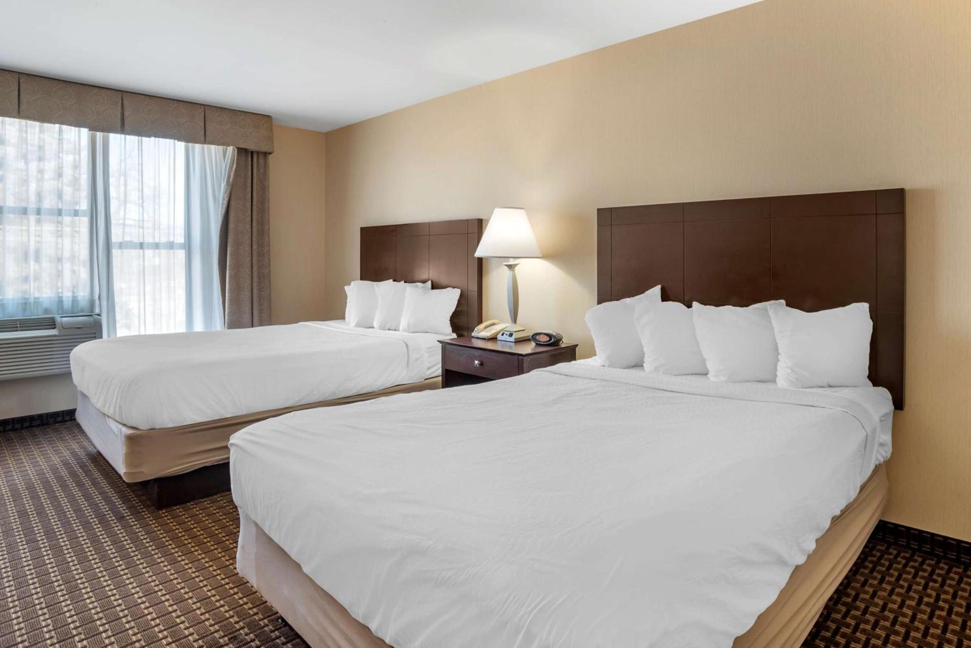 Best Western Plus Philadelphia Airport South - at Widener University photo 29
