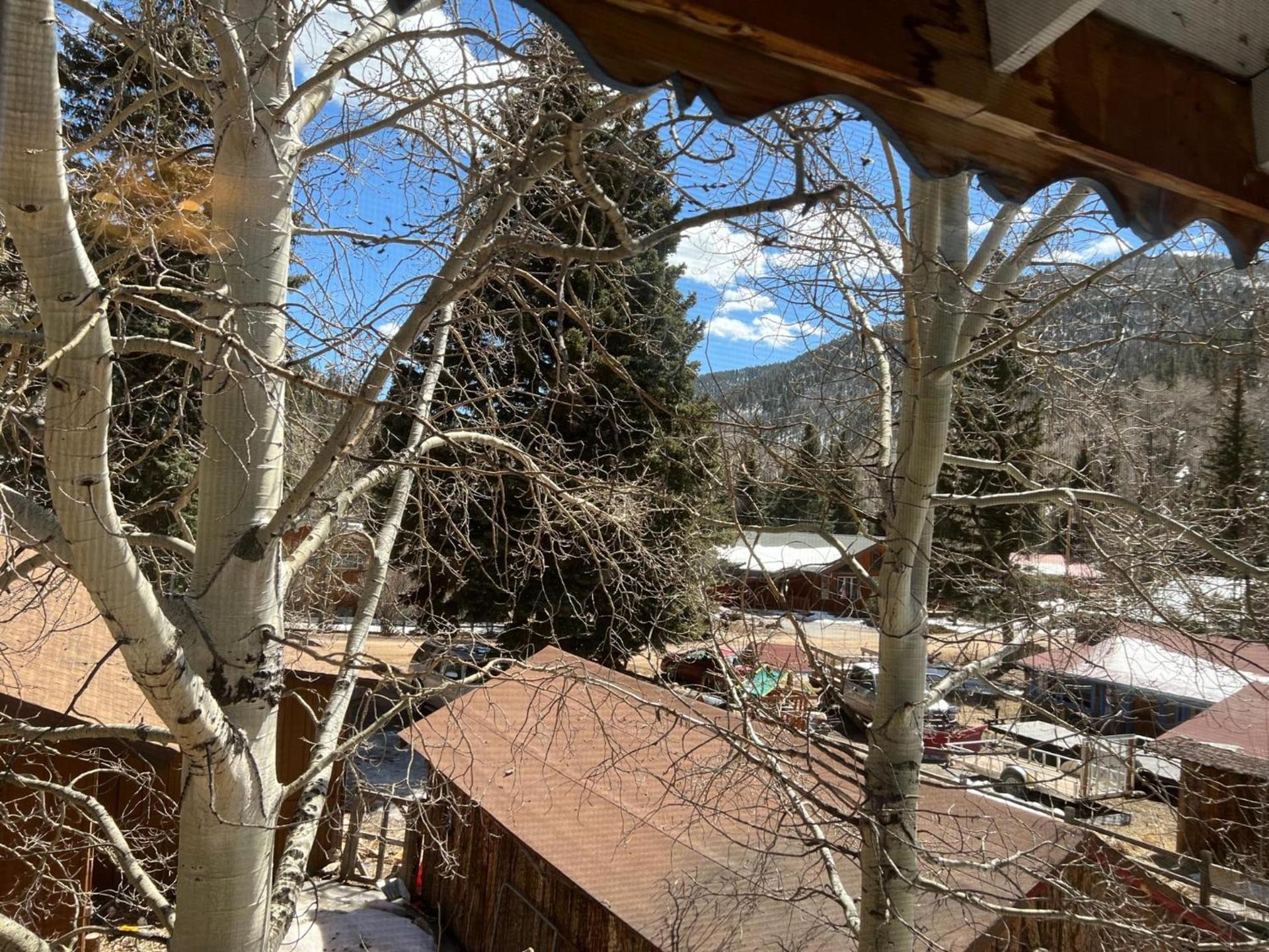 Bellamy's Ski Haus photo 63