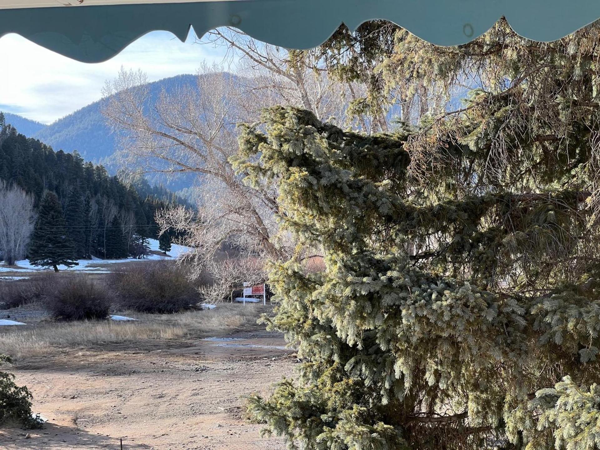 Bellamy's Ski Haus photo 83