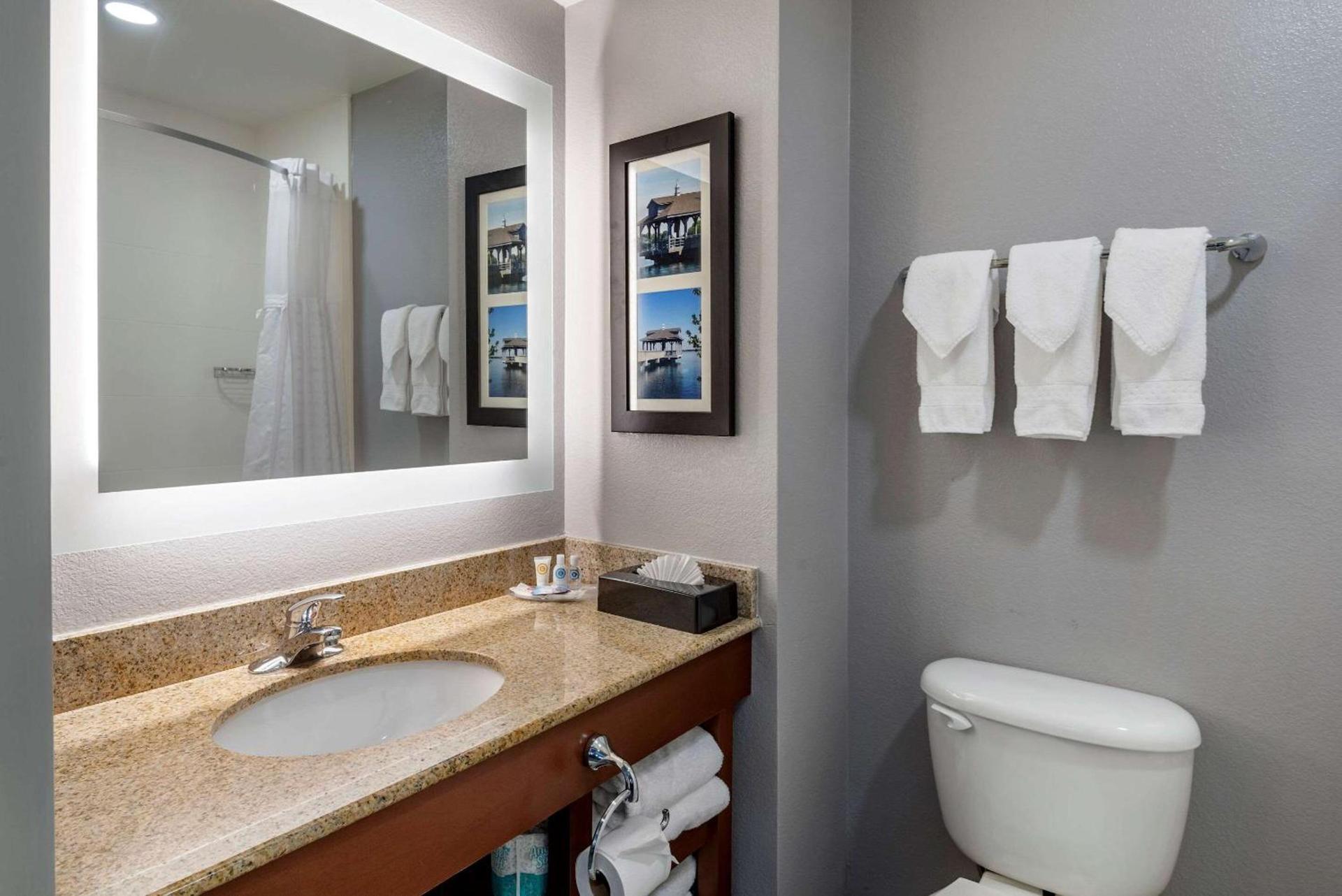 Comfort Suites near Birkdale Village- Huntersville photo 19