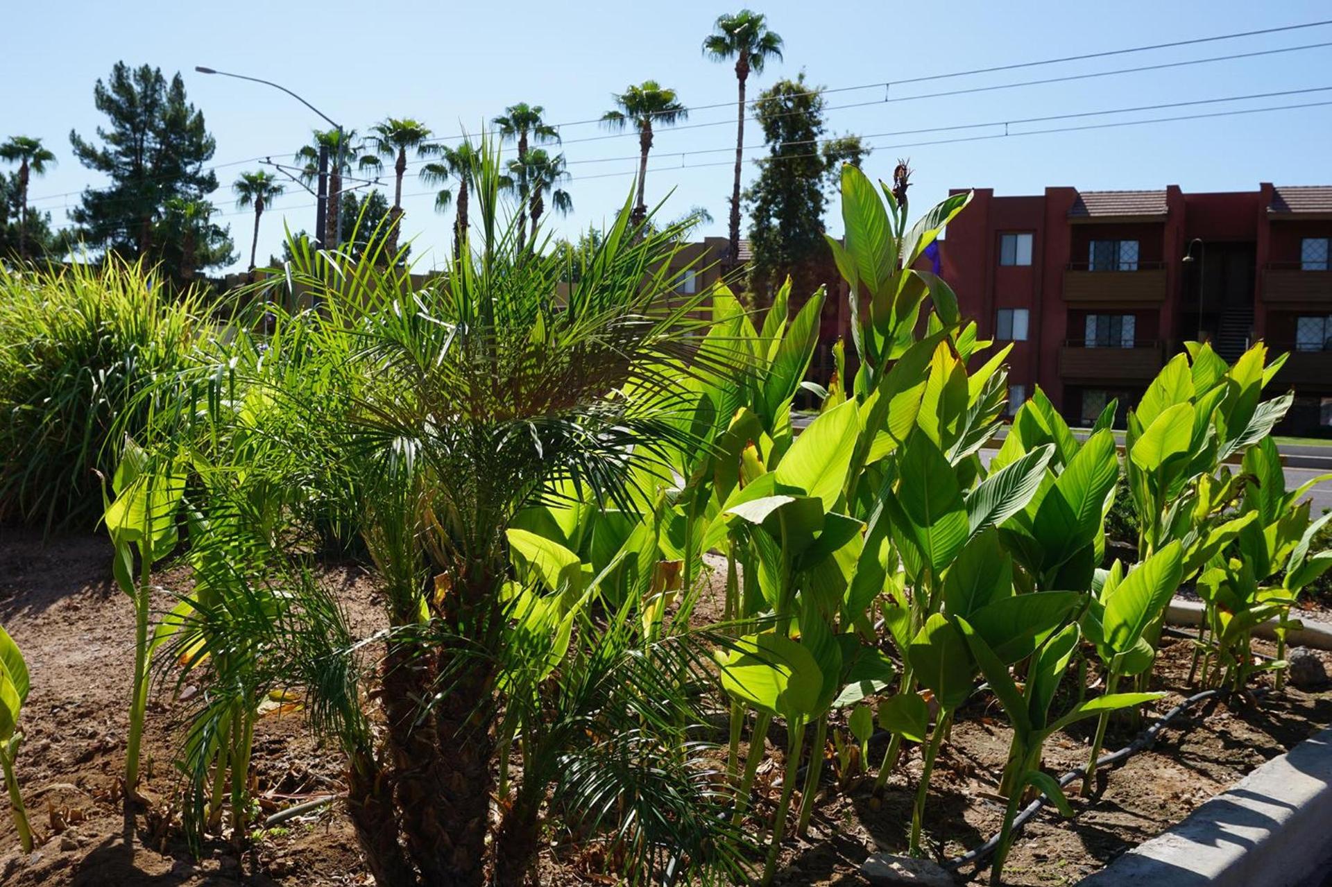 Mesa Oasis Inn & Motel photo 14