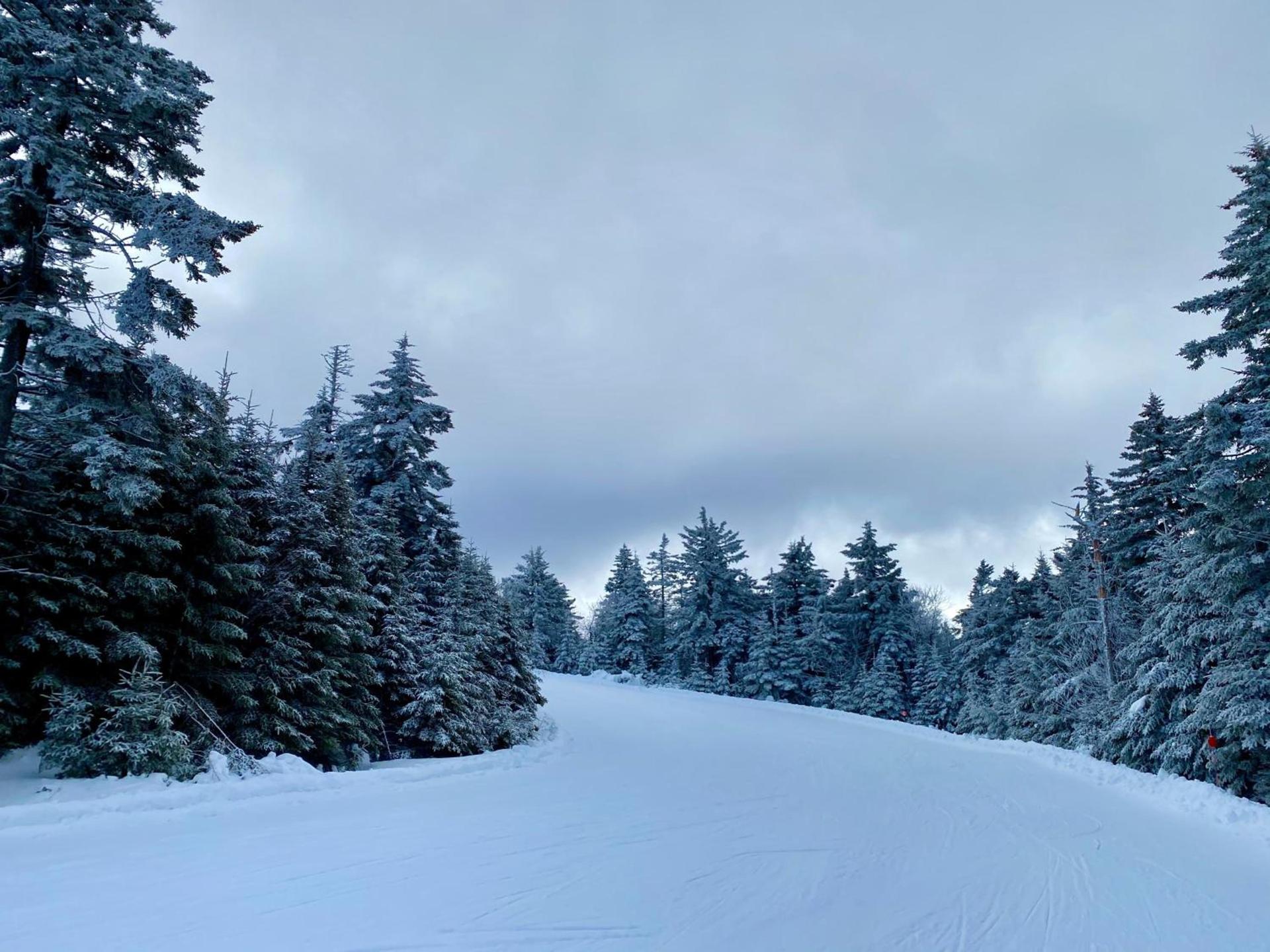 Bluebird Sunapee photo 36