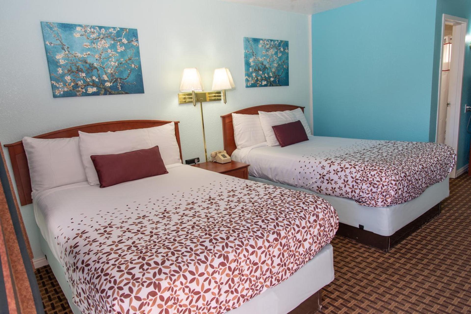 Esquire Inn photo 46