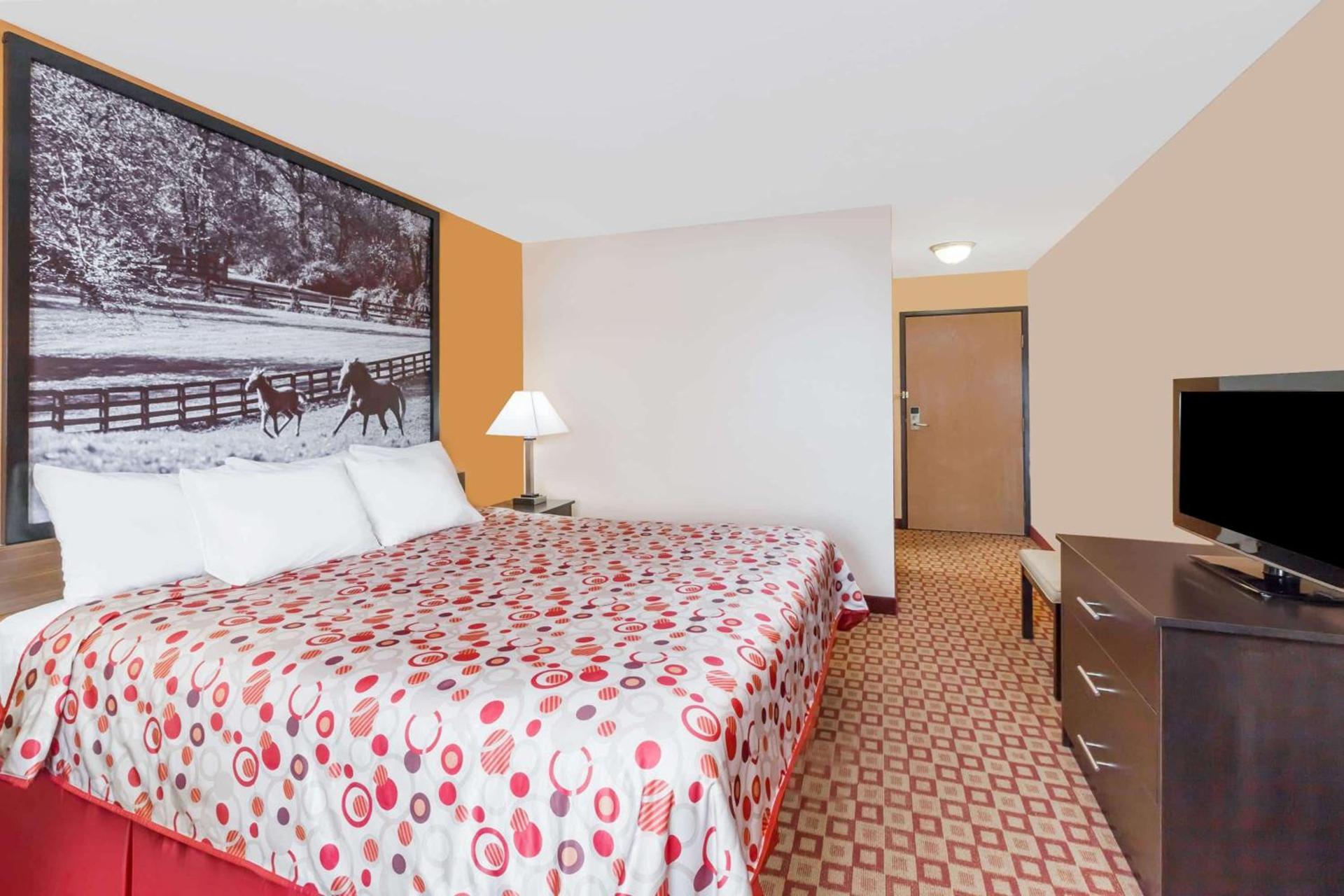 Super 8 South by Wyndham photo 13