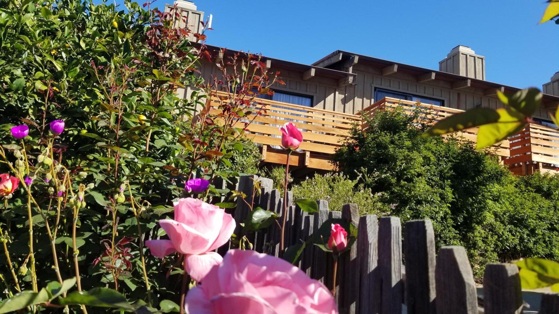 Carmel Valley Lodge photo 33