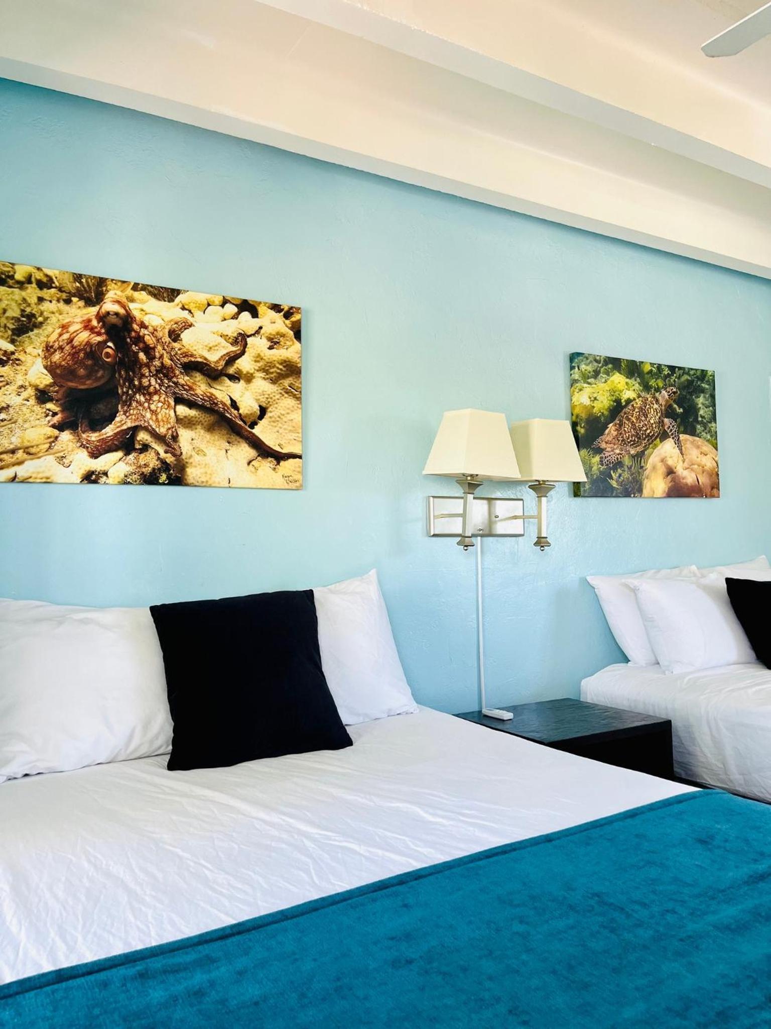 Looe Key Reef Resort and Dive Center photo 36