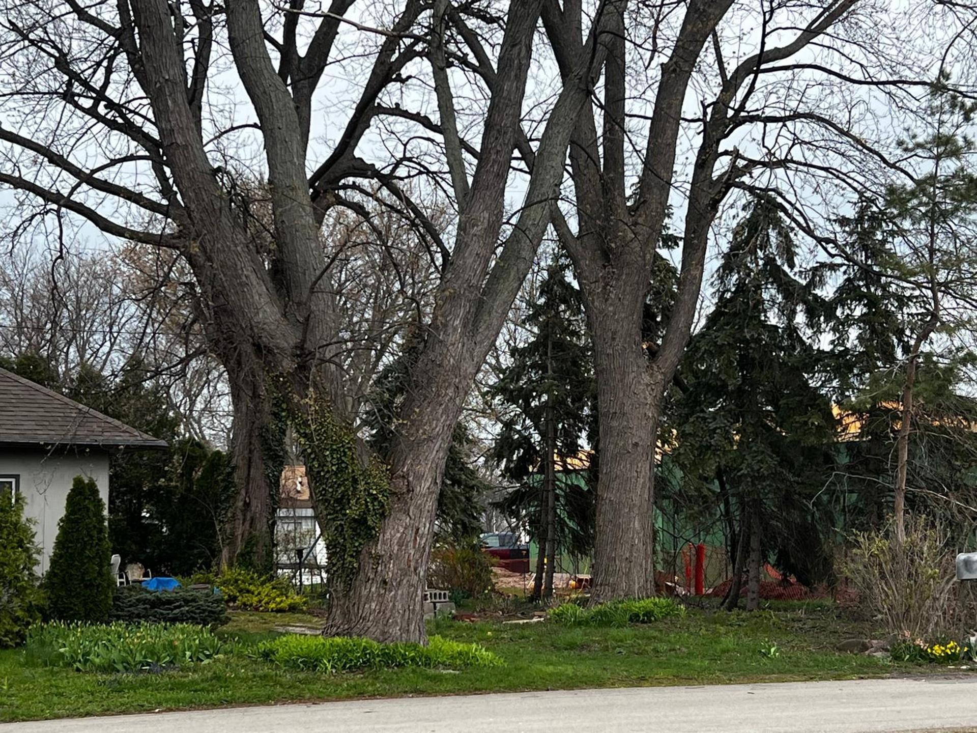 The Cedar Motel photo 42