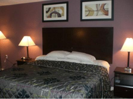 Mount Holyoke Inn photo 38