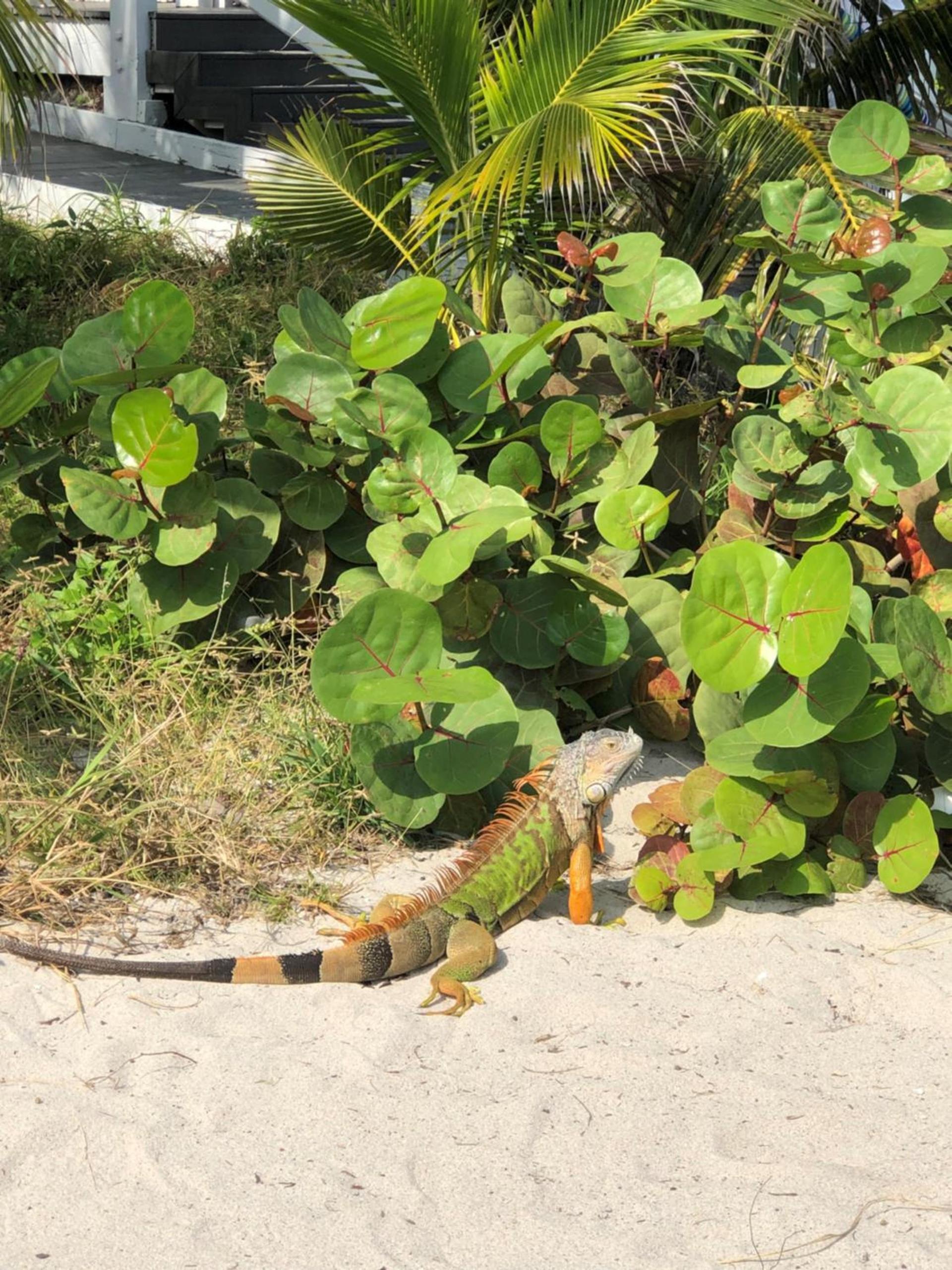 Beach Tide Motel photo 30