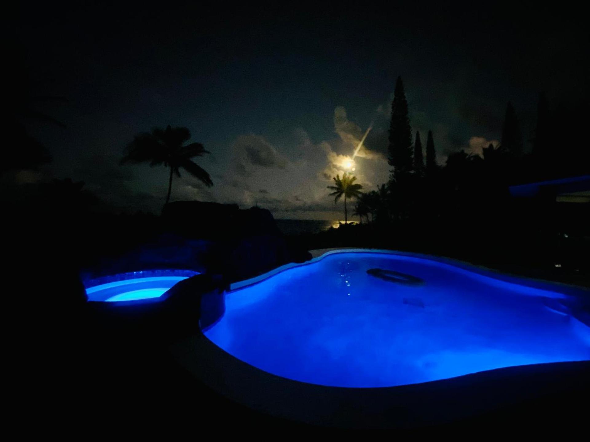 Wild Blue Water photo 8