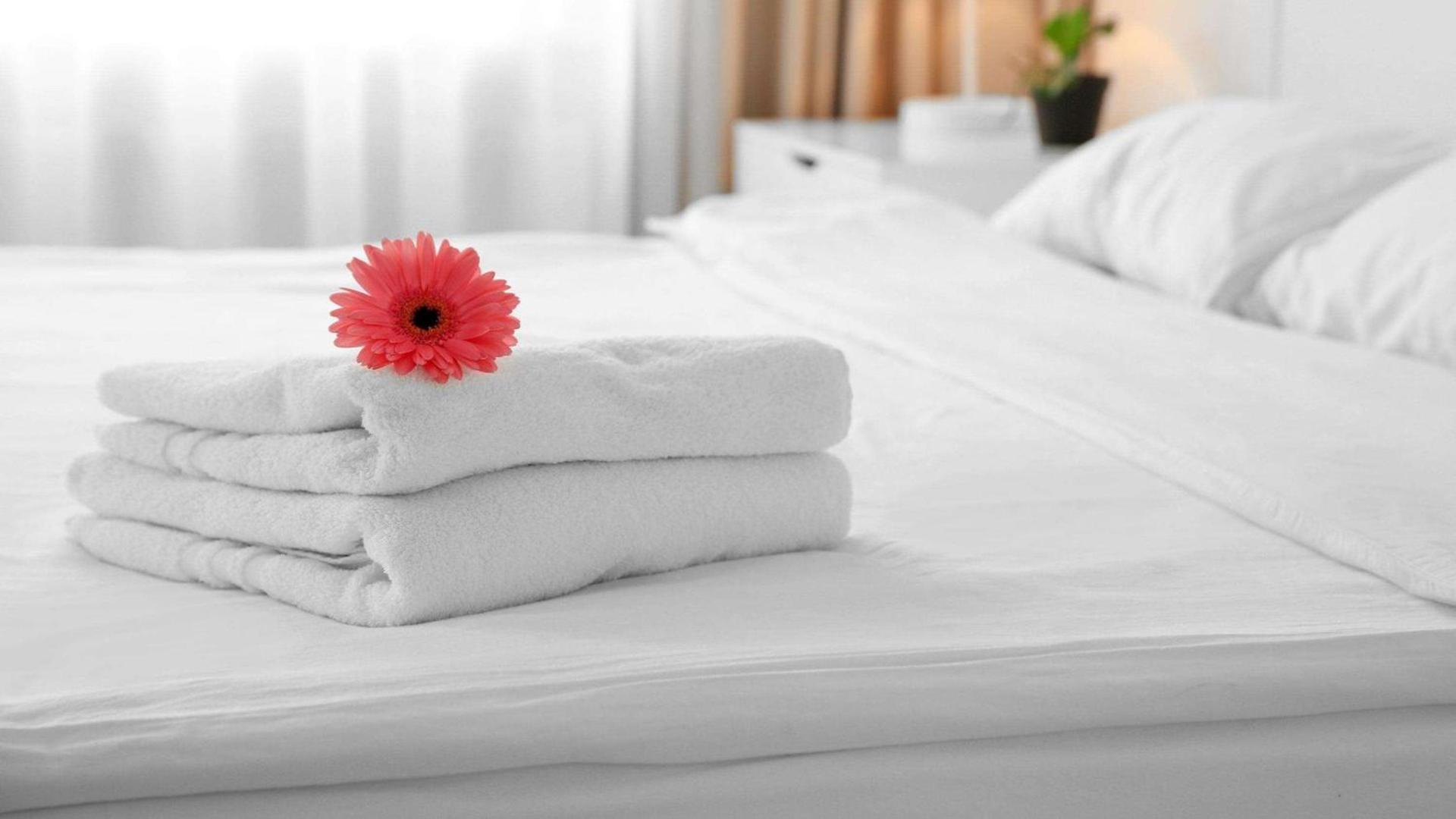 Sun Plaza Motel photo 9