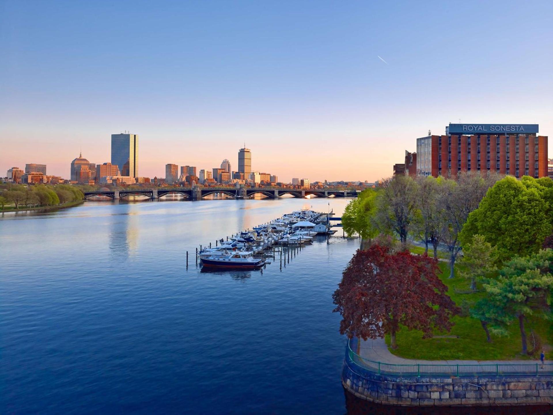 The Royal Sonesta Boston photo 36