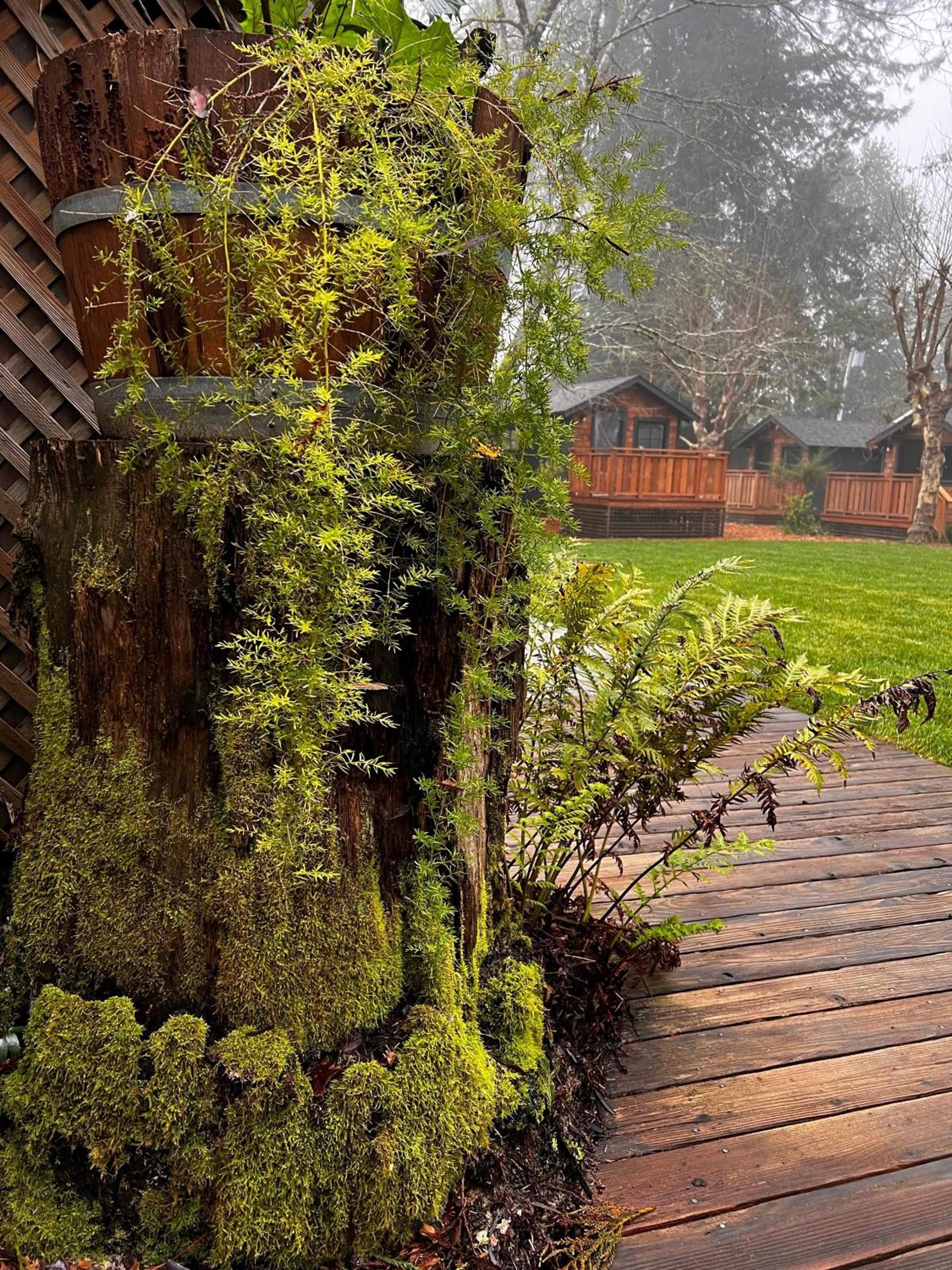 Dawn Ranch photo 47