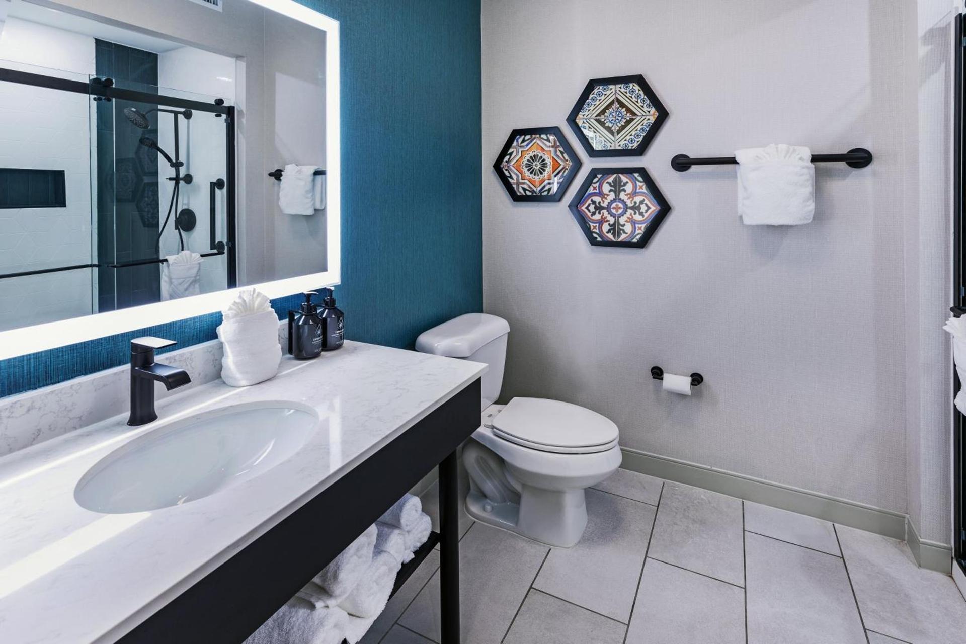 Hotel Indigo Spring - Woodlands Area by IHG photo 41