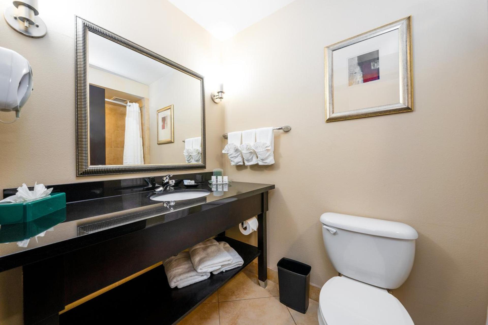 Holiday Inn Temple - Belton by IHG photo 27