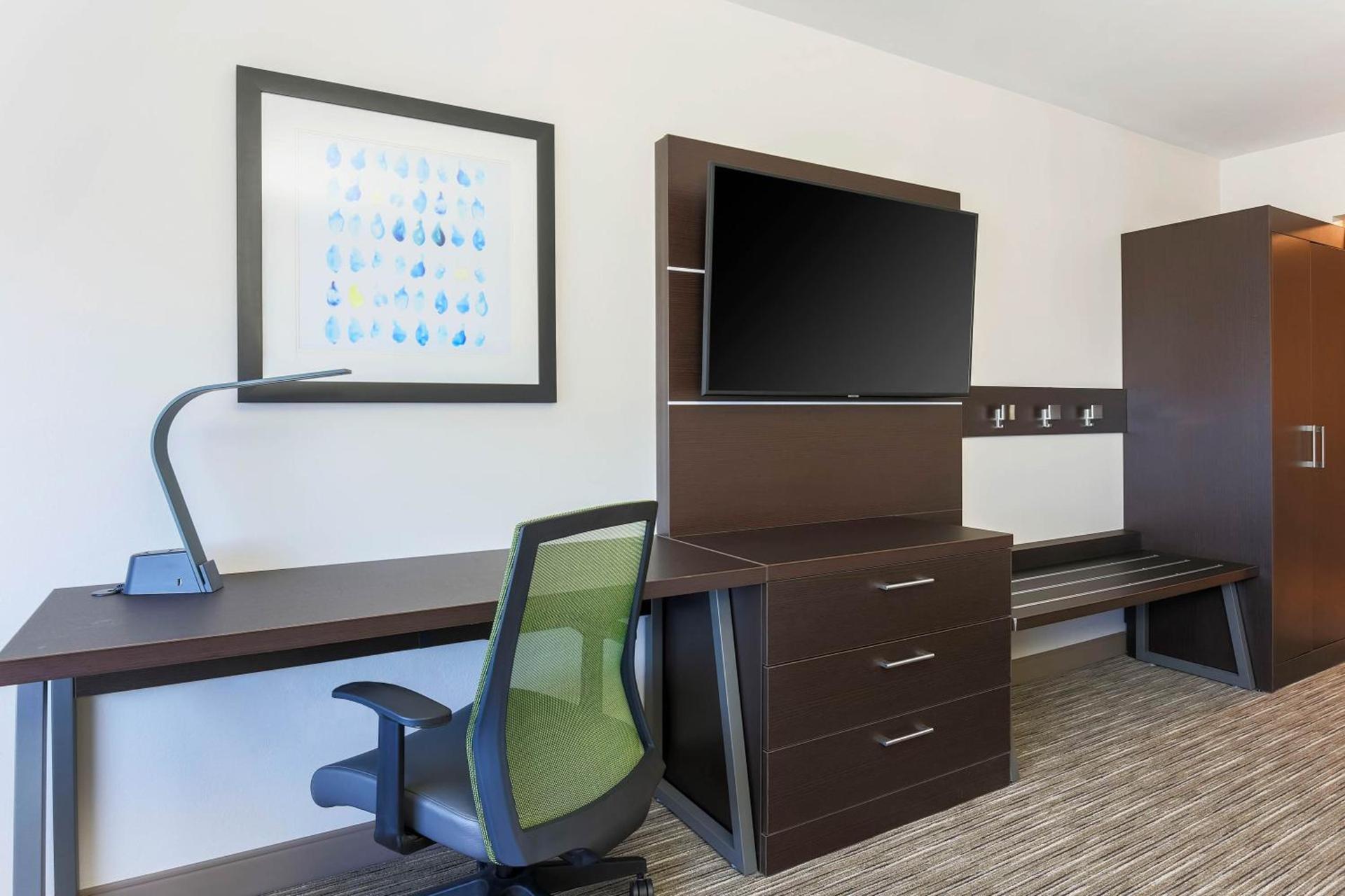 Holiday Inn Express & Suites Chicago O'Hare Airport by IHG photo 13