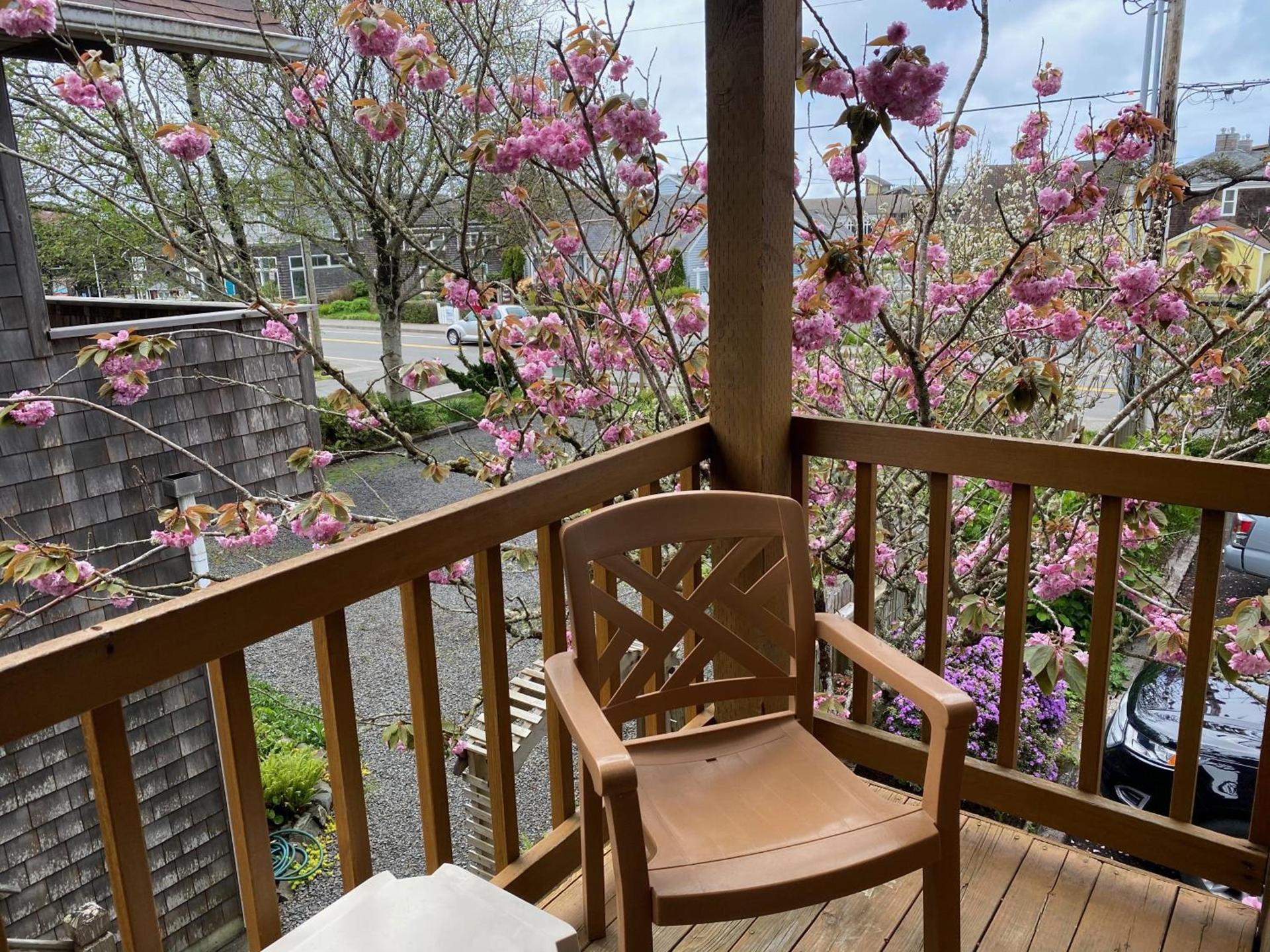 Lighthouse Inn photo 61