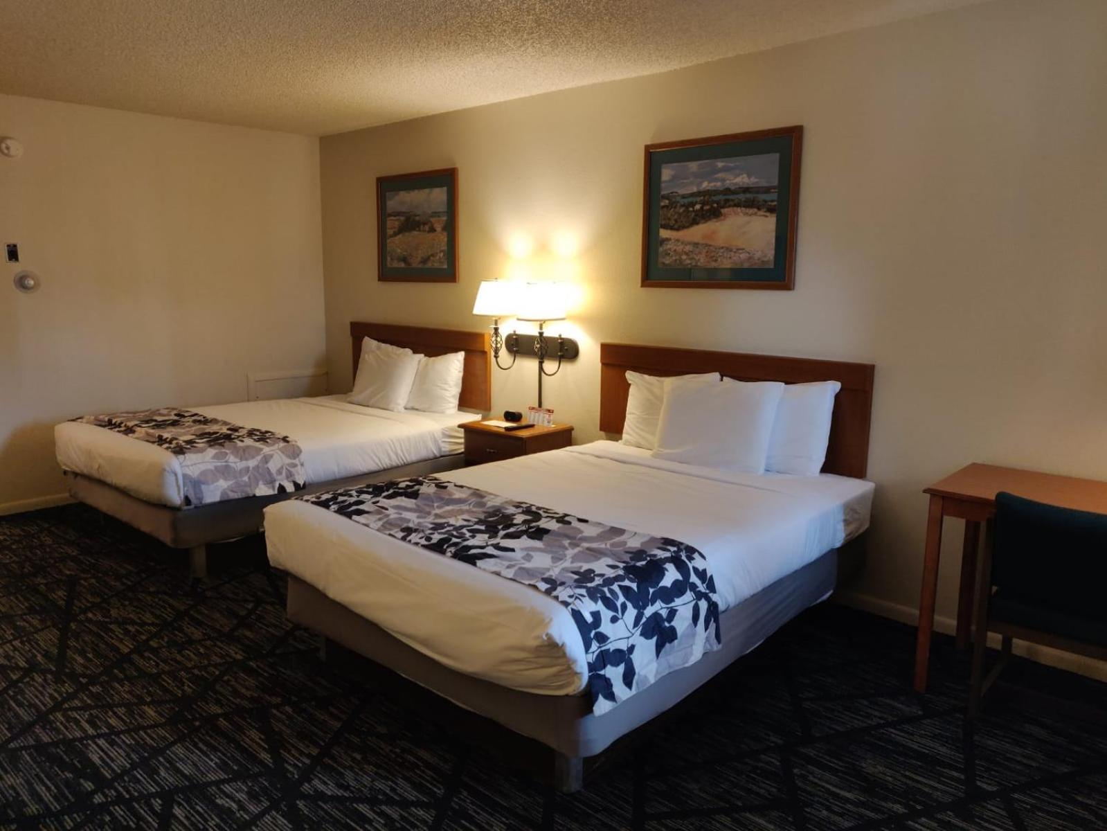 Skyline Motor Inn photo 23